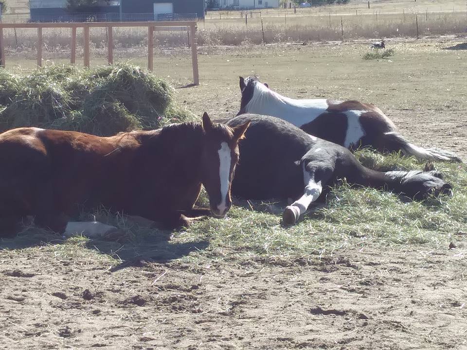 Some Pics From Today