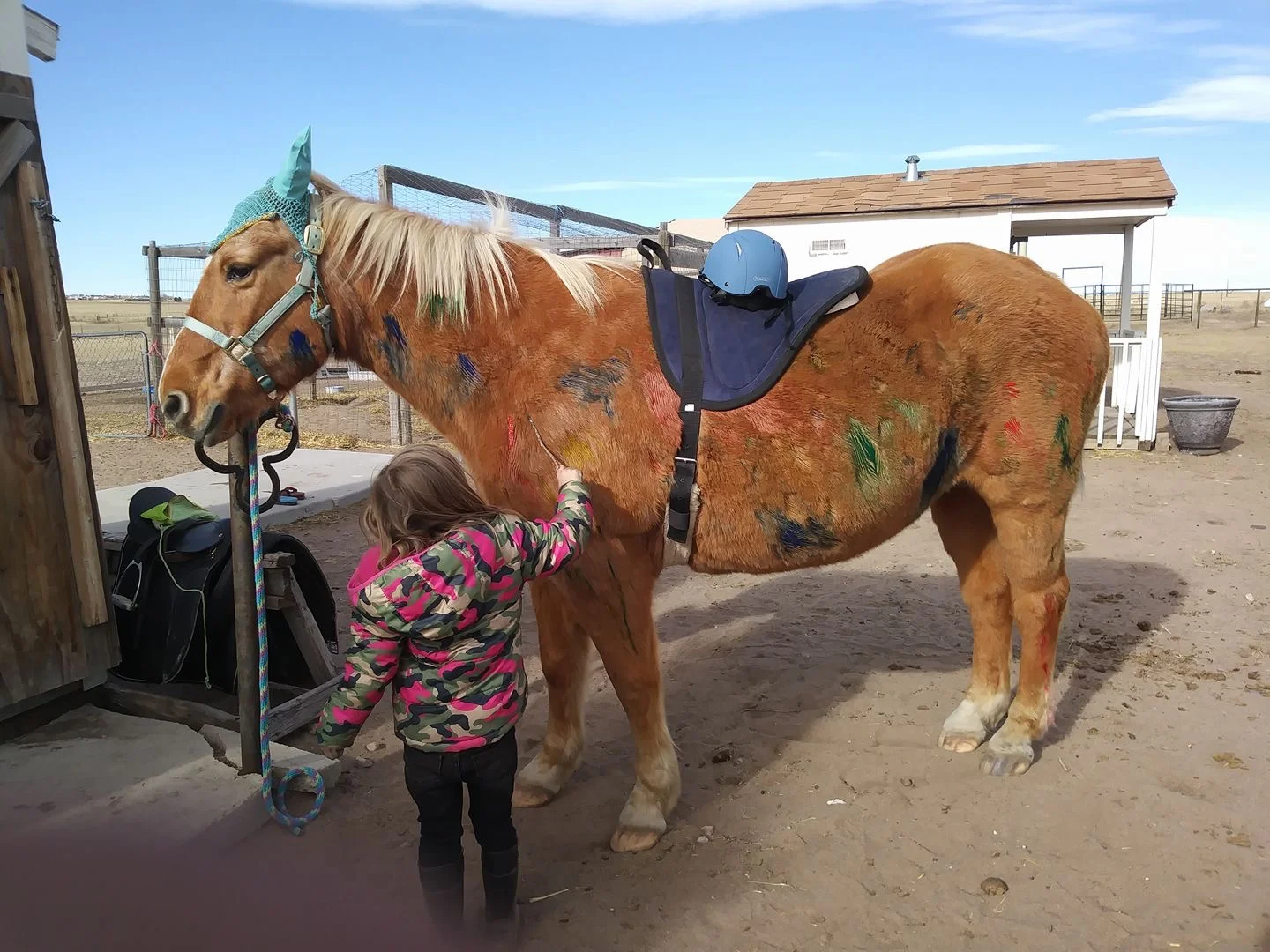 Great Therapy Session