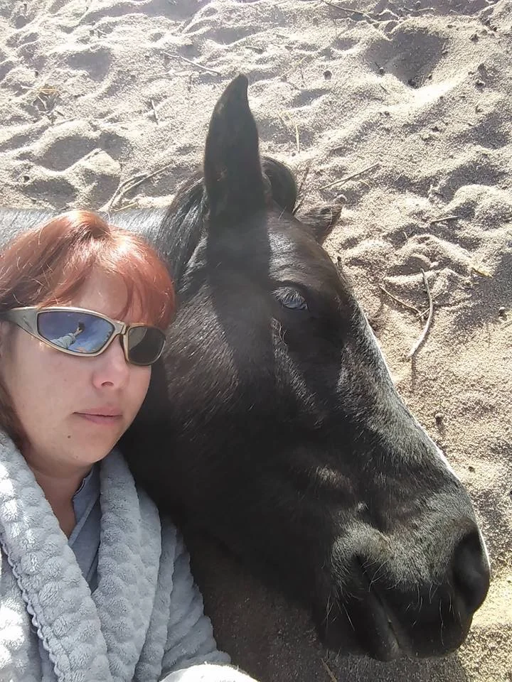 Horse Cuddles