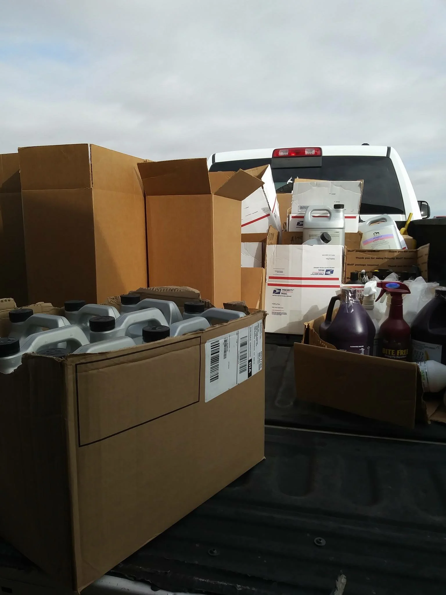 Thank You Net Equestrian