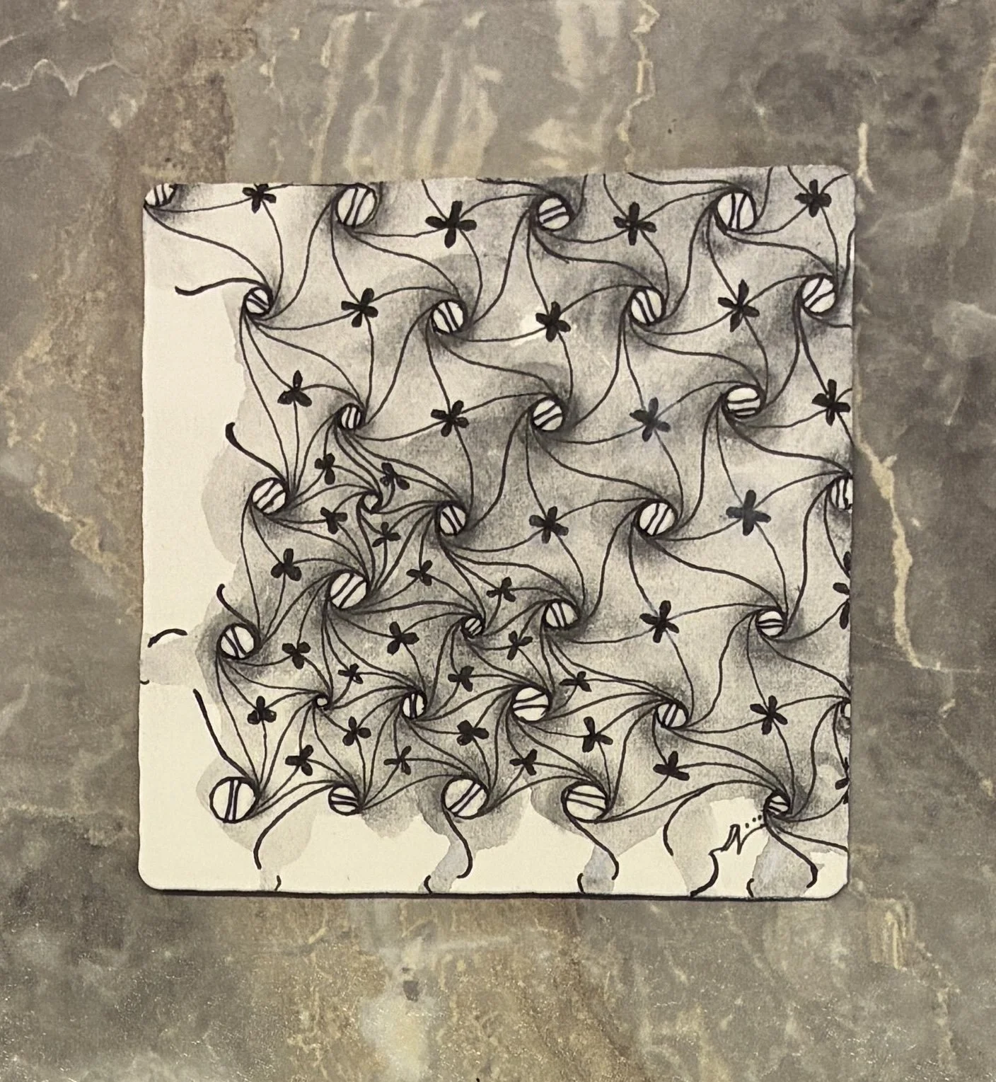 Day4c.JPEG