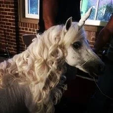 Captain d's commercial unicorn horse Event set designer for hire, Experiential marketing production, Pop-up shop design and build, Product launch design, Trade show booth design Nashville, Brand experience design, Festival activation design.jpg
