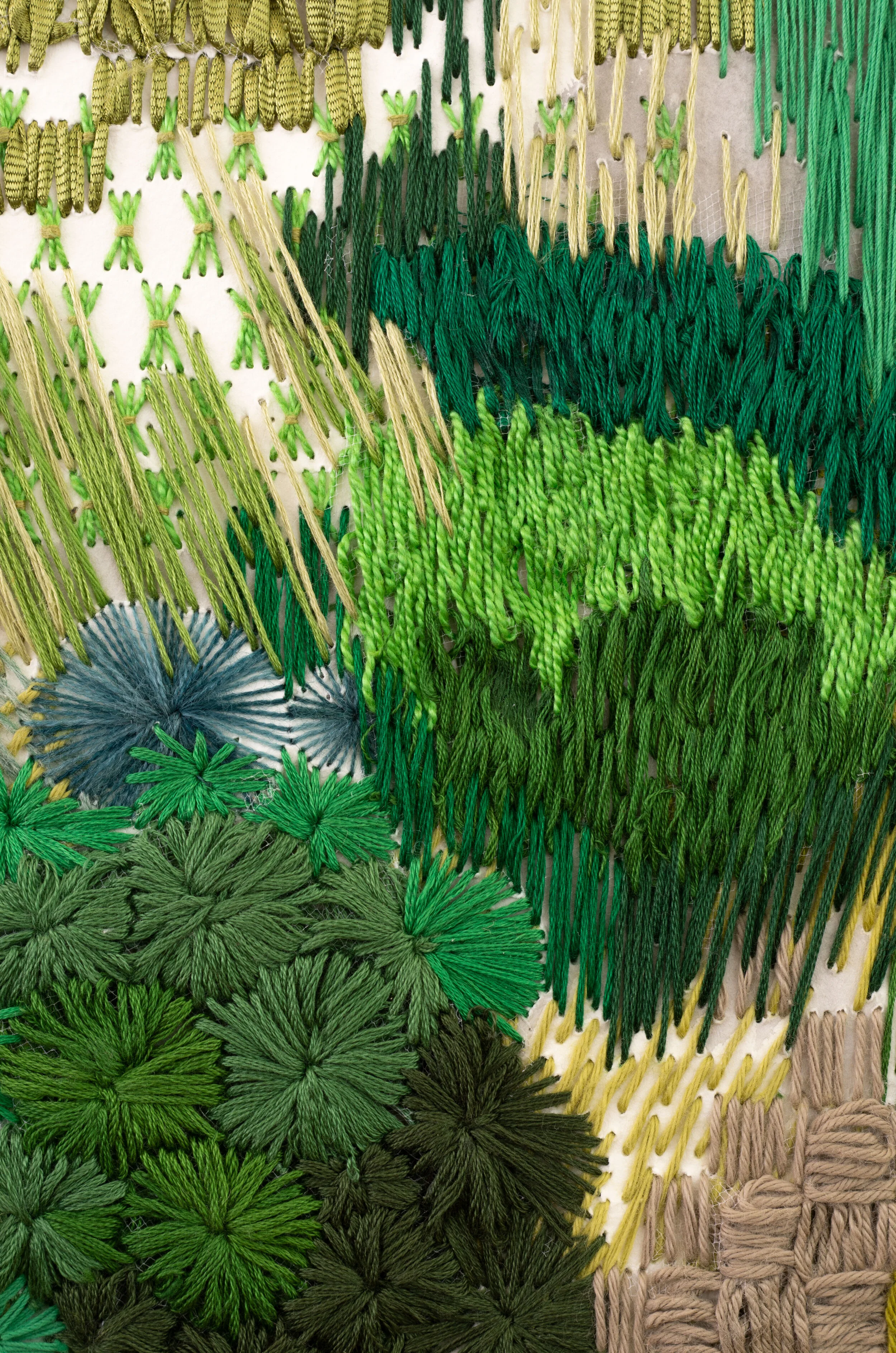 Swierat_Rhian_cloud_forest_detail2.jpg
