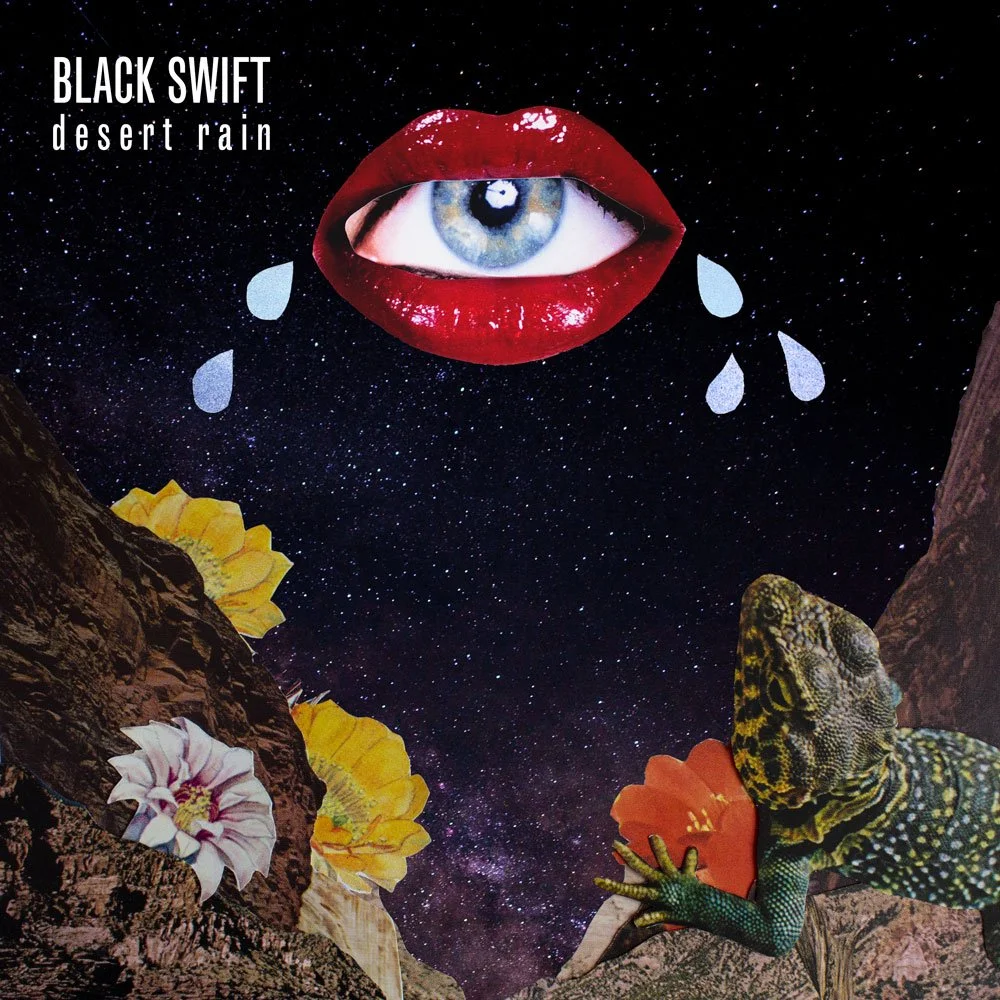 Black_Swift-desert-rain.jpg