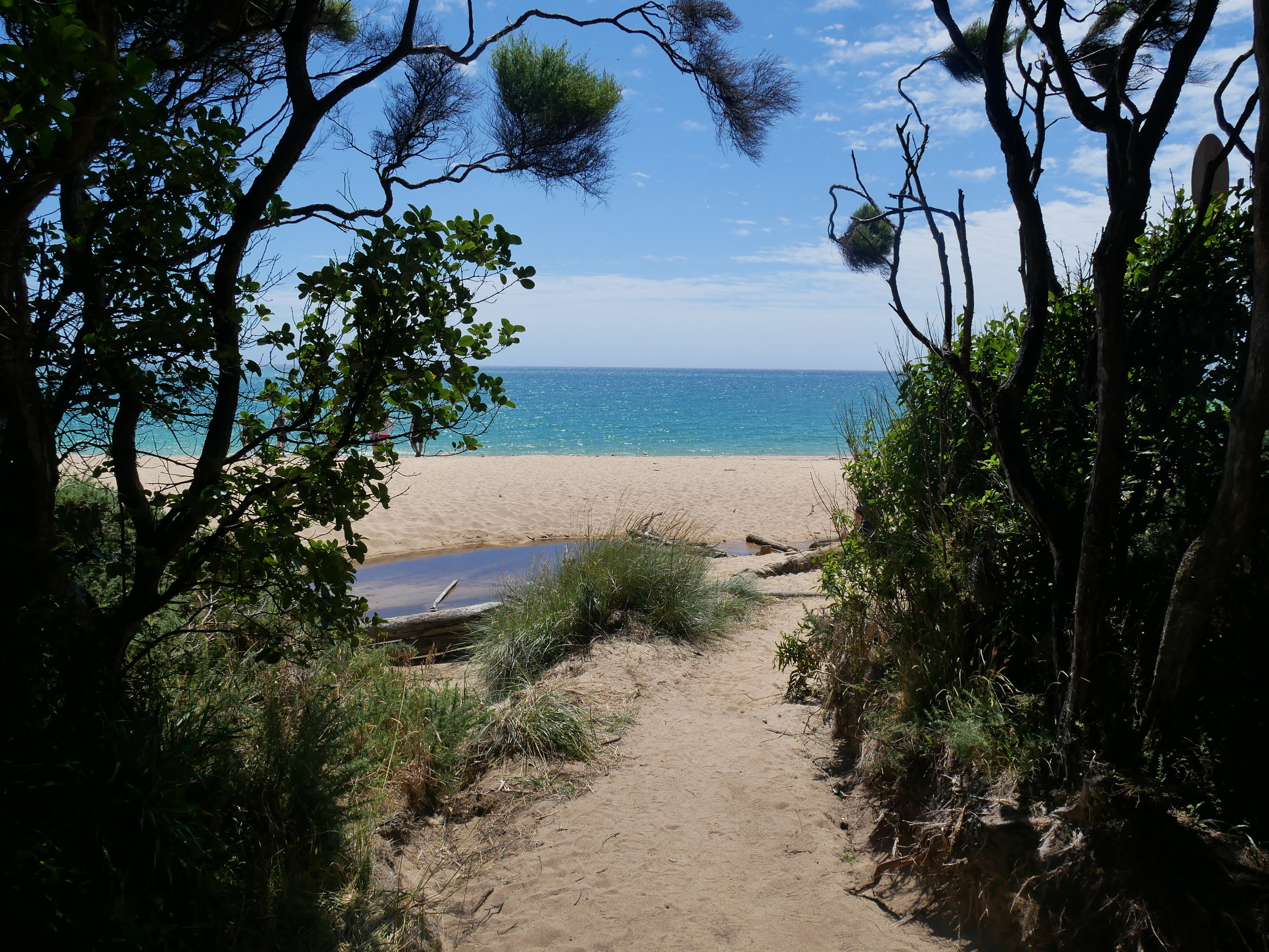  After a 2.5 KM trek from Totaranui, we arrived at beautiful Anapai Bay in Abel Tasman National Park (Jan 17).&nbsp; 