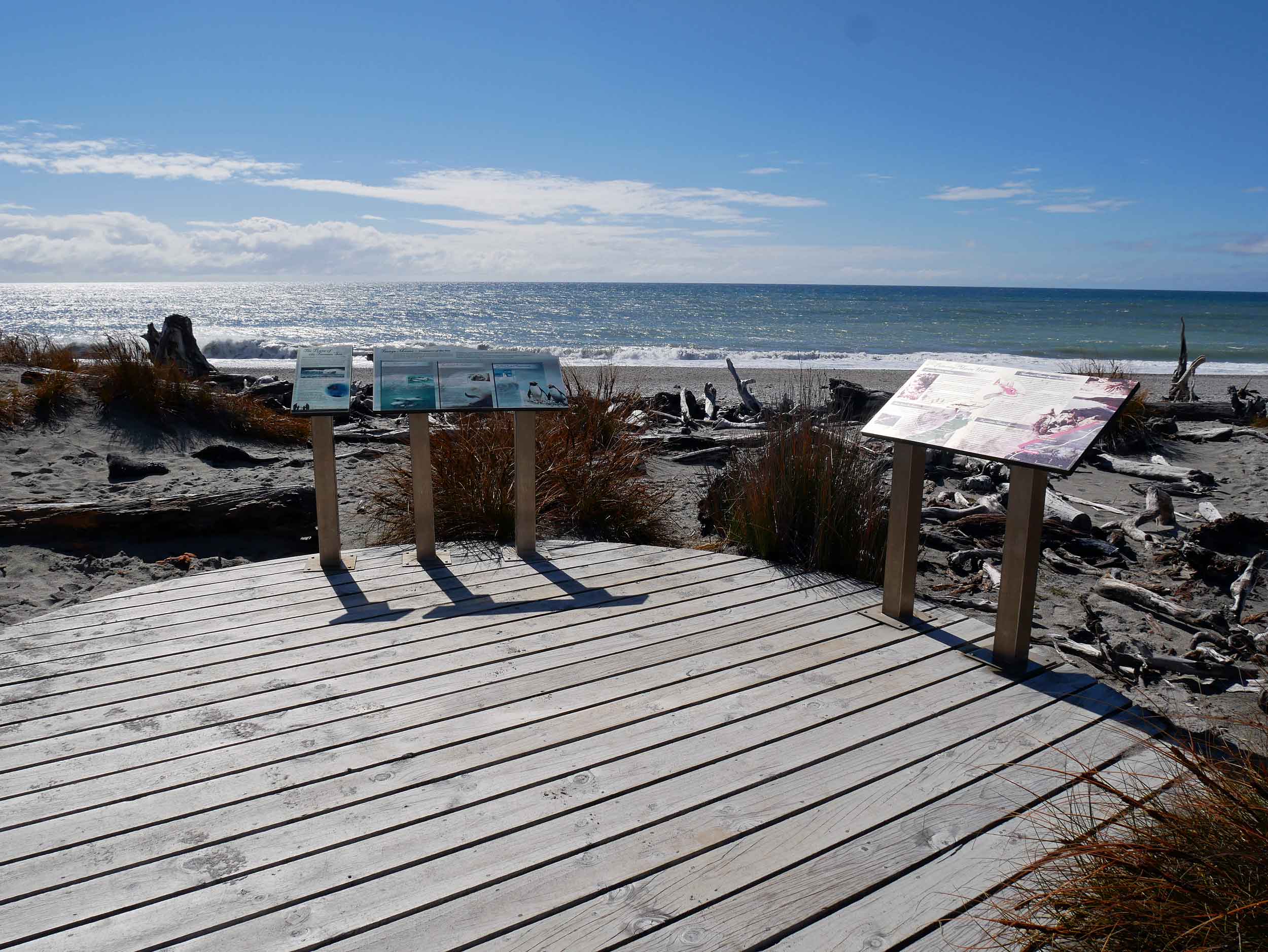  At Haast (West Coast), you can either walk the Ship Creek dunes or the bog (Jan 6).&nbsp; 