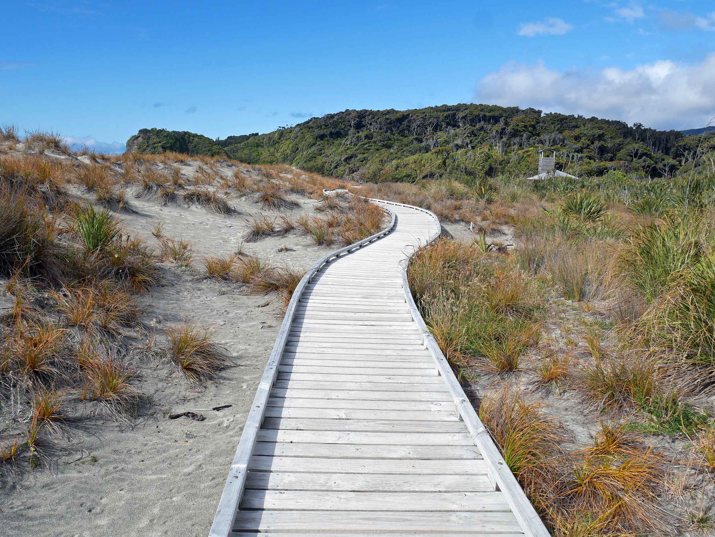  A scenic walk through the Ship Creek dunes with sea grass, driftwood and rocky sands (Jan 5).&nbsp; 