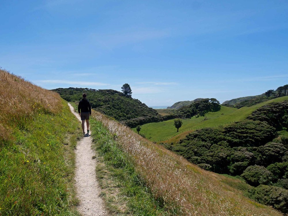  The winds on the walk to Wharariki Beach just west of Farewell Spit (the northern most point of the South Island) nearly blew us off the track (Jan 13).&nbsp; 