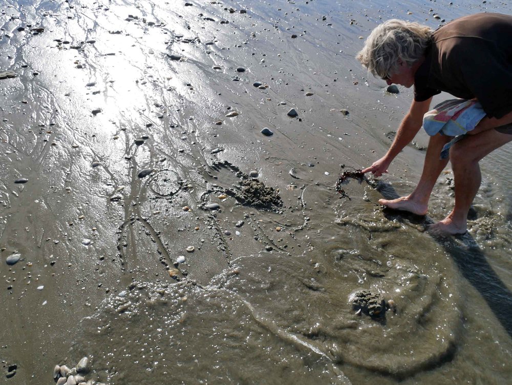  We stumbled up on local Mike who showed up how to dig up our dinner as well as shared insights on the moon cycles and local tides.&nbsp; 