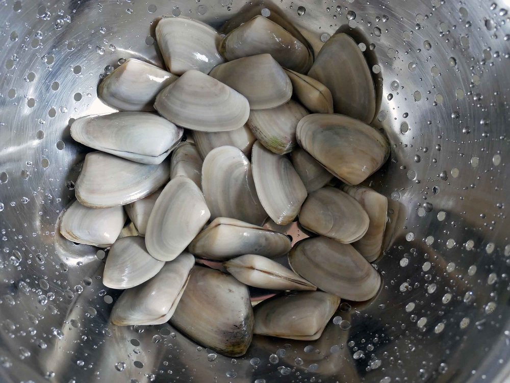  Rinse clams after soaking in fresh water for 30 minutes.&nbsp; 