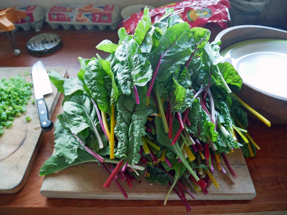  Swiss chard from the fields, which was used on delicious homemade pizzas for dinner.&nbsp; 