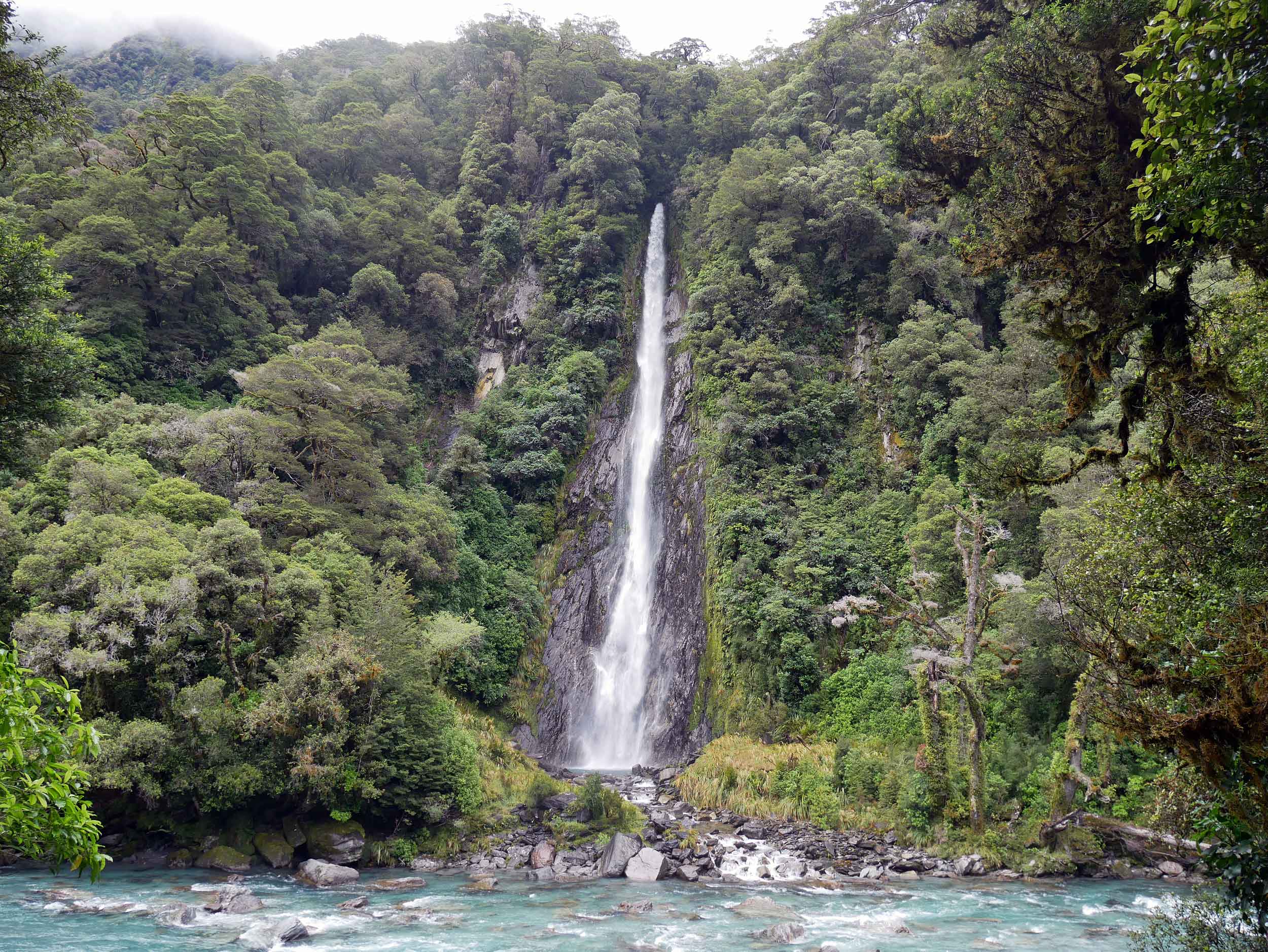  Driving from the West Coast to Queenstown along Haast Highway, we discovered one of New Zealand's tallest waterfalls (96 metres), Thunder Creek Falls (jan 7).&nbsp; 