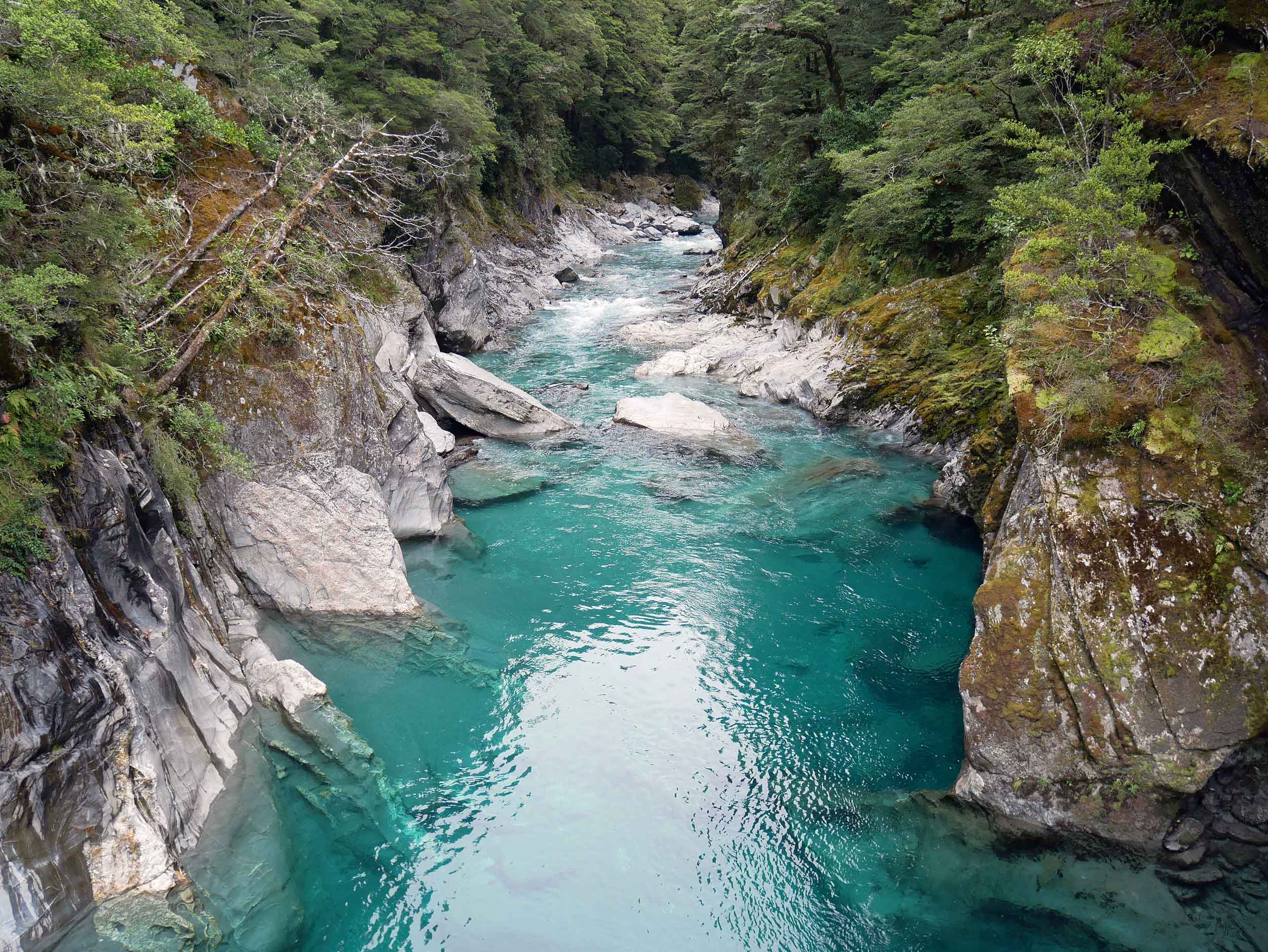  We also took a short walk across another swing bridge to take in the crystal Blue Pools of the Makaroa River (Jan 7).&nbsp; 