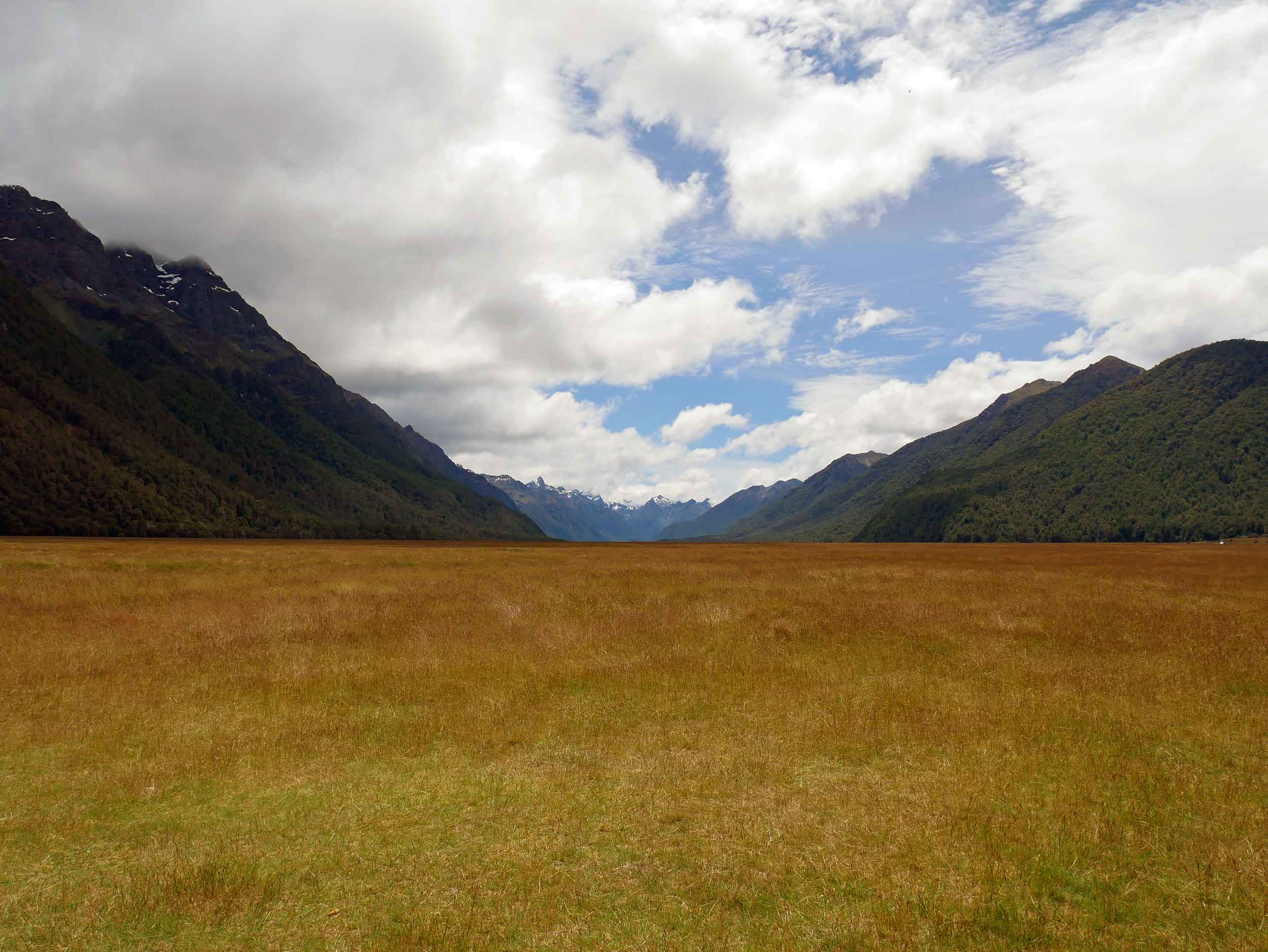 Along the Milford Road, we stopped and camped overnight in Eglinton Valley, once filled with glacial ice (Jan 8).&nbsp; 