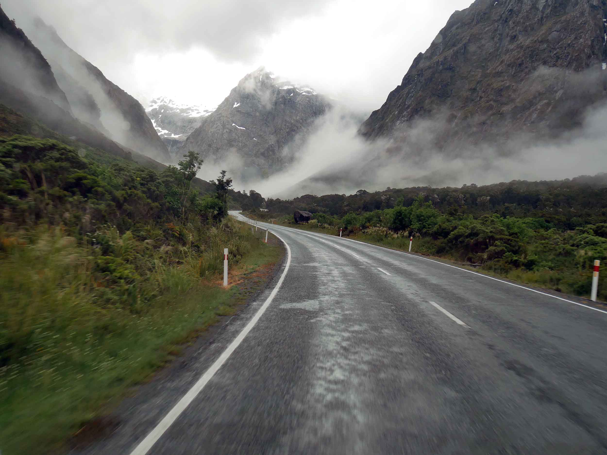 The moody Milford Road was wet and misty on our final stretch into Milford Sound (Jan 9).&nbsp; 
