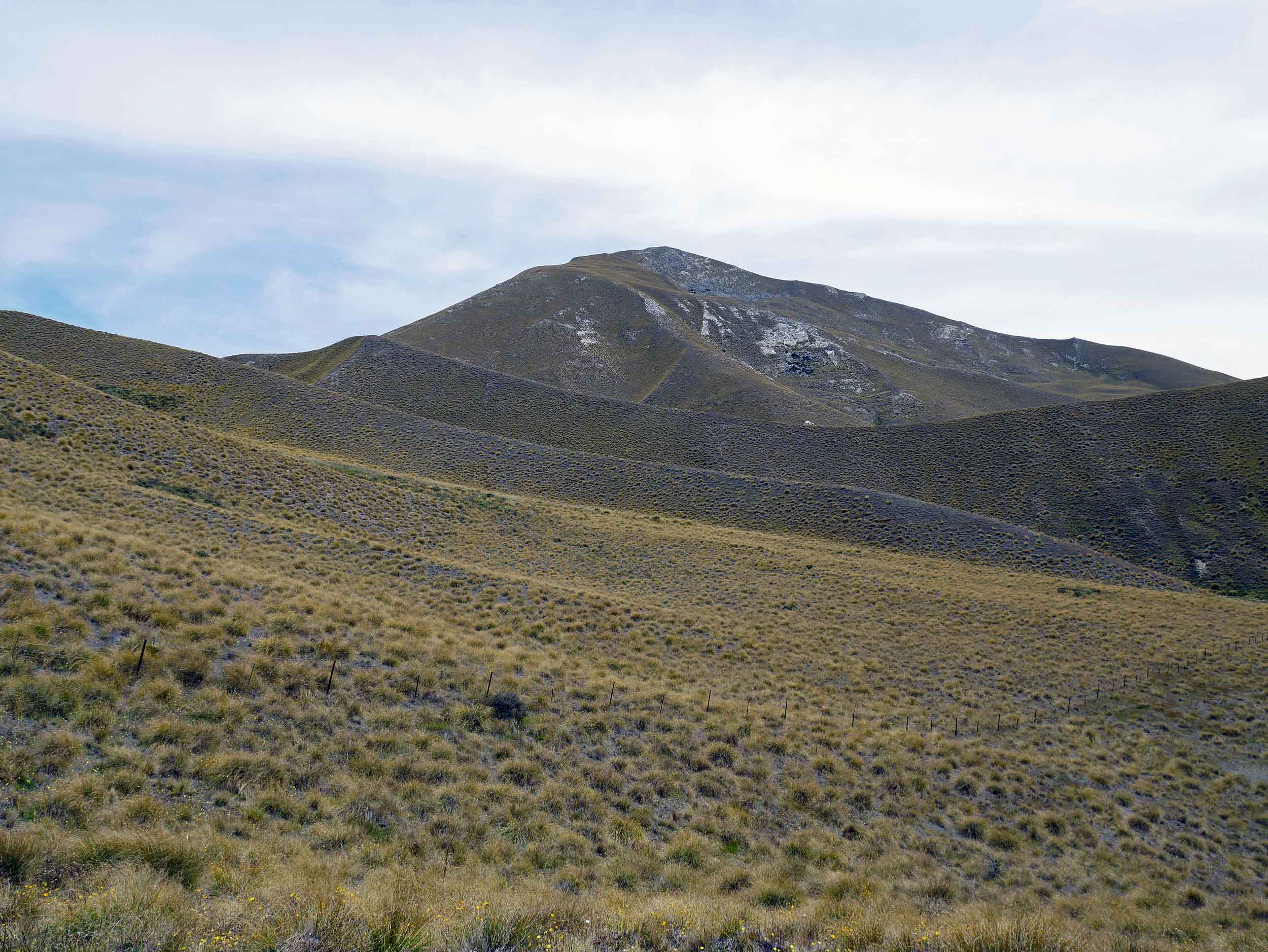  Driving north past Queenstown, the landscape becomes hot and arid with hills covered in tussock (Jan 10).&nbsp; 