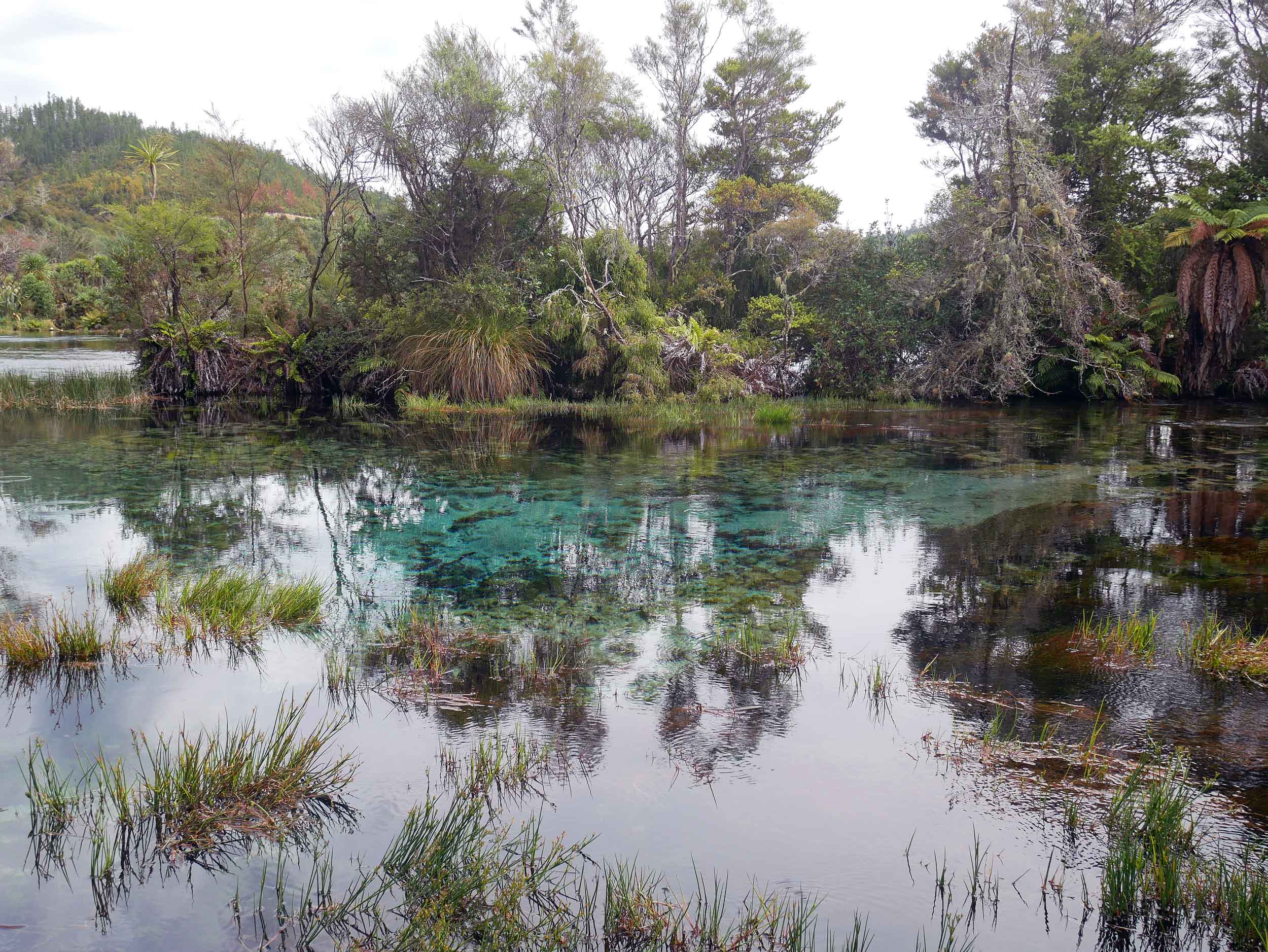  Golden Bay's Te Waikoropupu Springs, known locally as Pupu Springs, is famous for its water clarity (63 metres depth) and is spiritually significant to the native Maori people (Jan 15).&nbsp; 