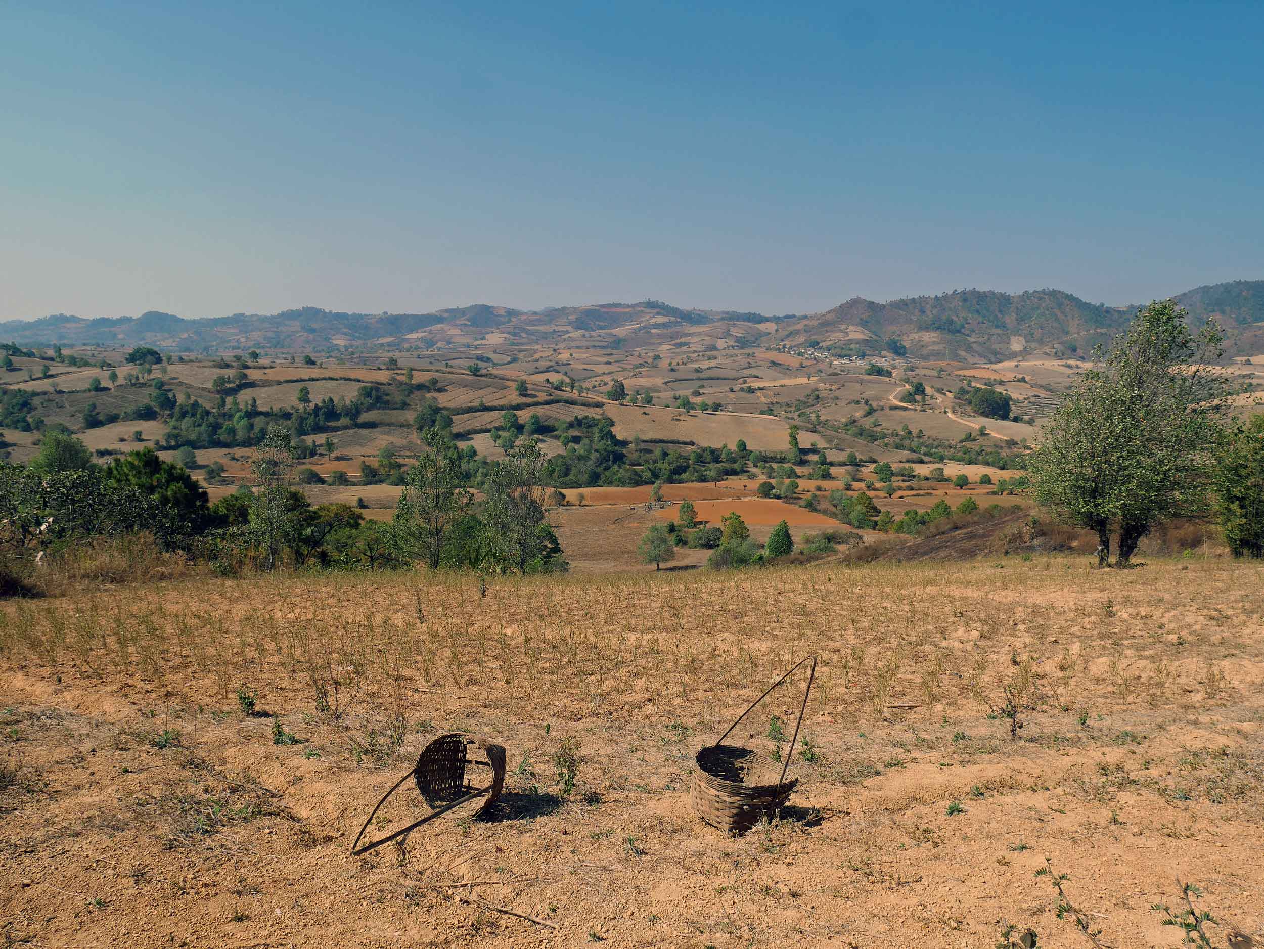  This area was in the middle of dry season with most fields already harvested except for areas near water resources (Feb 20).&nbsp; 