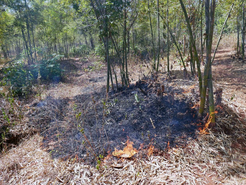  We passed a controlled (and hot!) fire used for agriculture and land management by the Burmese people for centuries (Feb 21). 