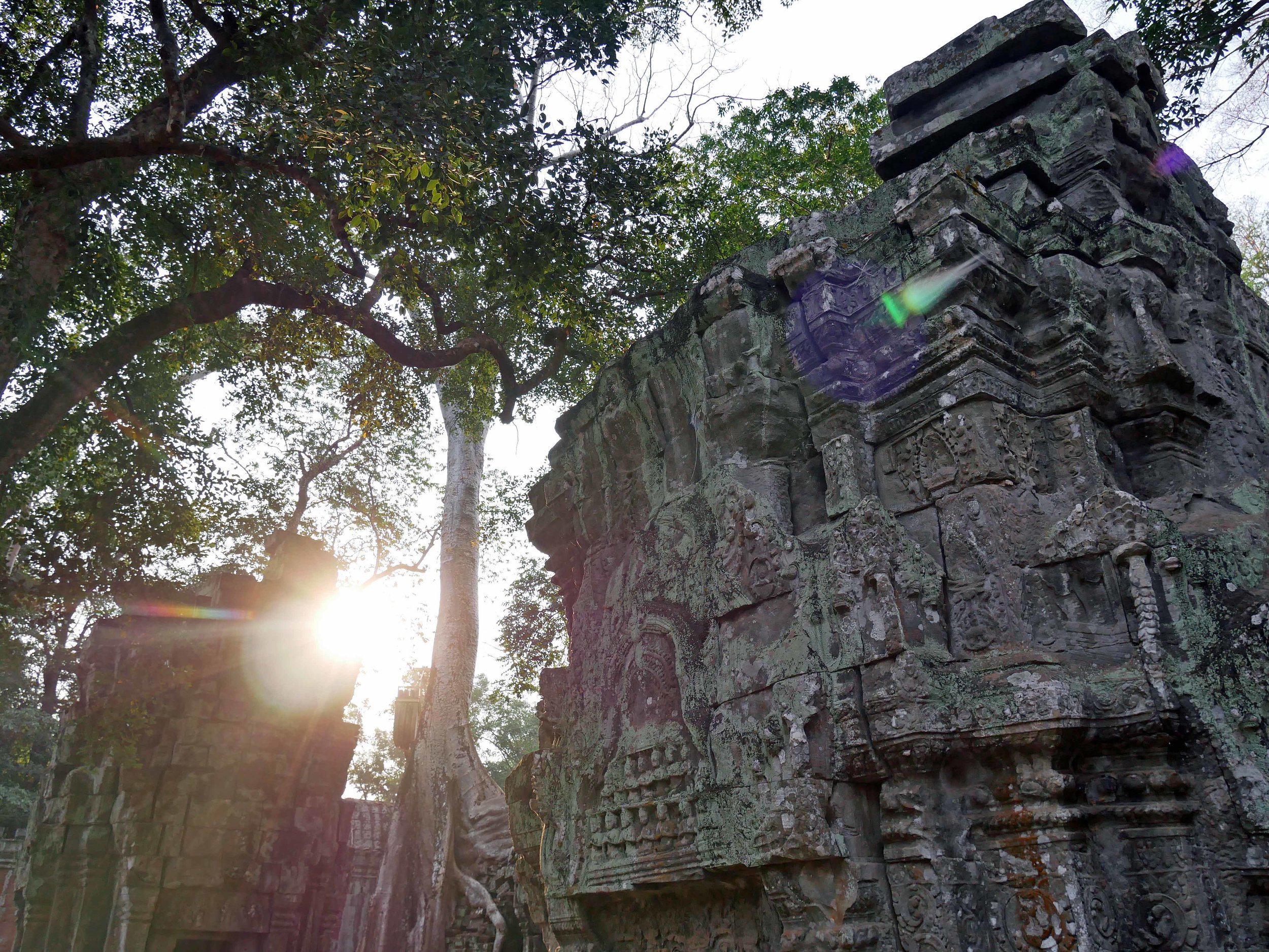 Left in much the same condition as it was found, Ta Prohm feels prehistoric with its jungle surroundings and trees growing out of the ruins (Feb 27). 