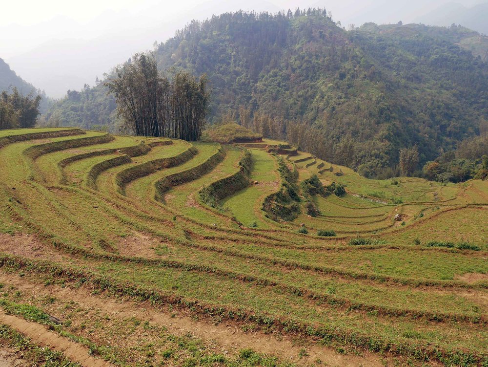  View of the impressive terraced rice fields taken in while trekking to Lao Chai village near Sapa (Mar 24).&nbsp; 