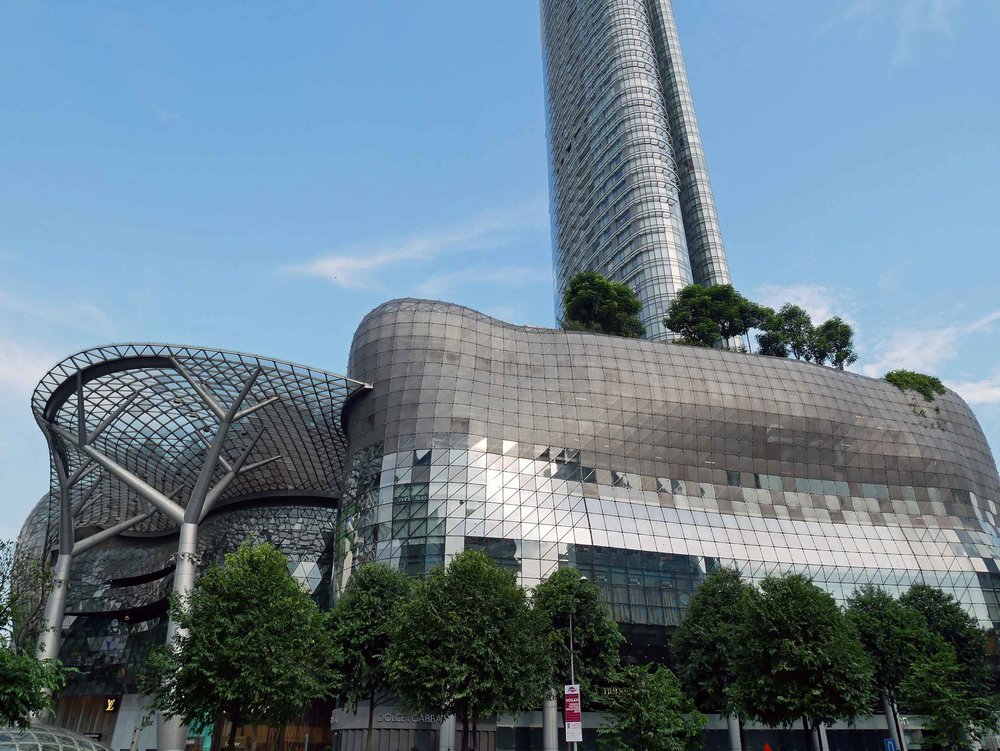  After lunch, we checked out several of the malls lining Orchard Road, including the futuristic ION Orchard. 