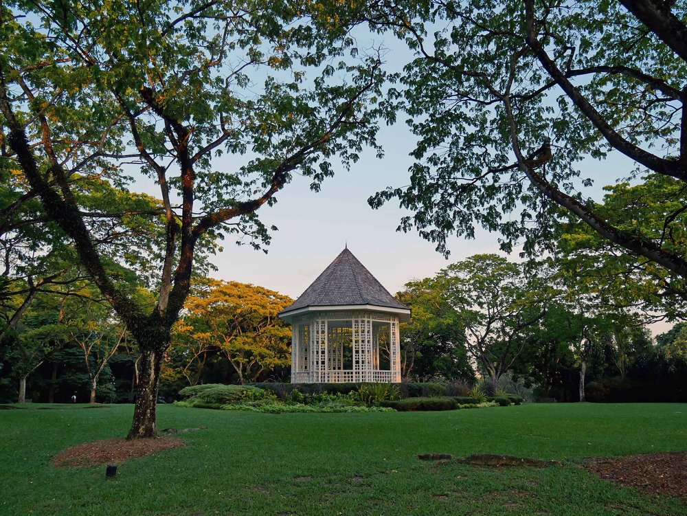  As the sun began to set on our first day, we checked out the beautiful Singapore Botanic Gardens. 