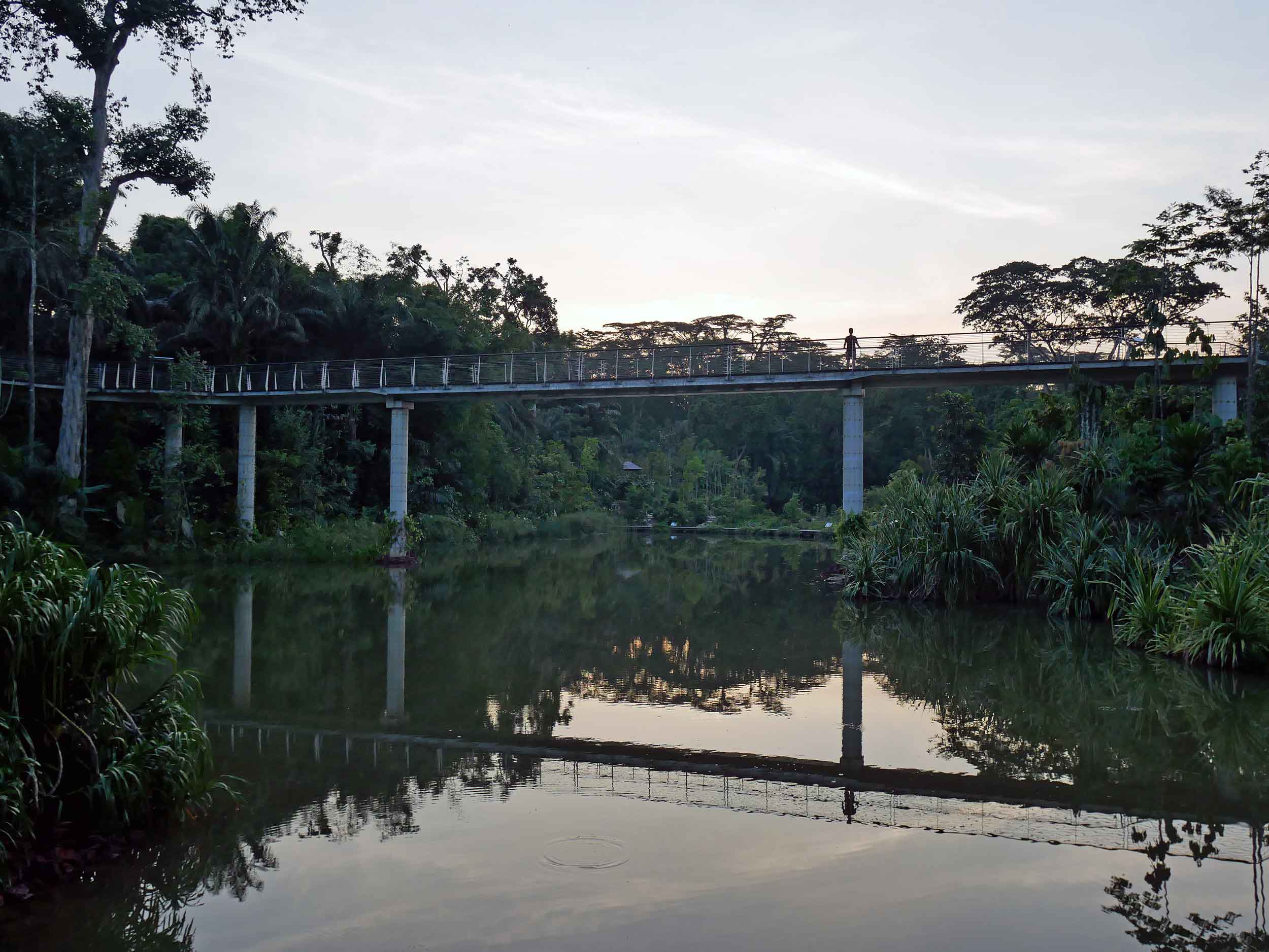  Newly opened, the Gardens' picturesque Wetlands discovery area provided a great sunset backdrop.&nbsp; 