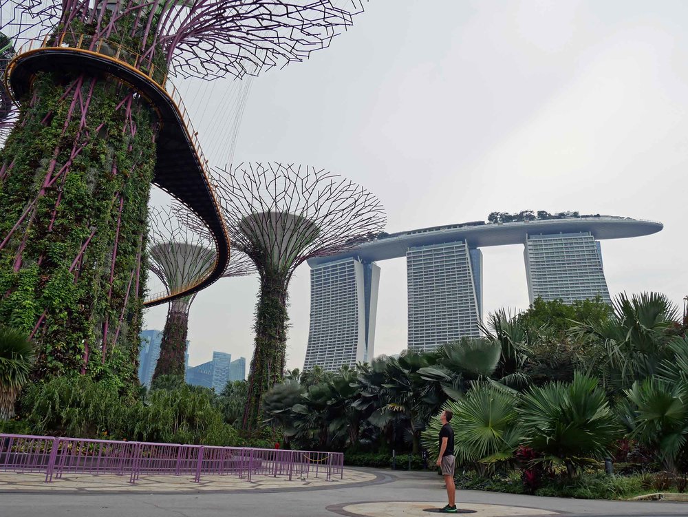  The next morning, we visited Gardens by the Bay, which lies in the shadow of towering Marina Bay Sands (April 29). 