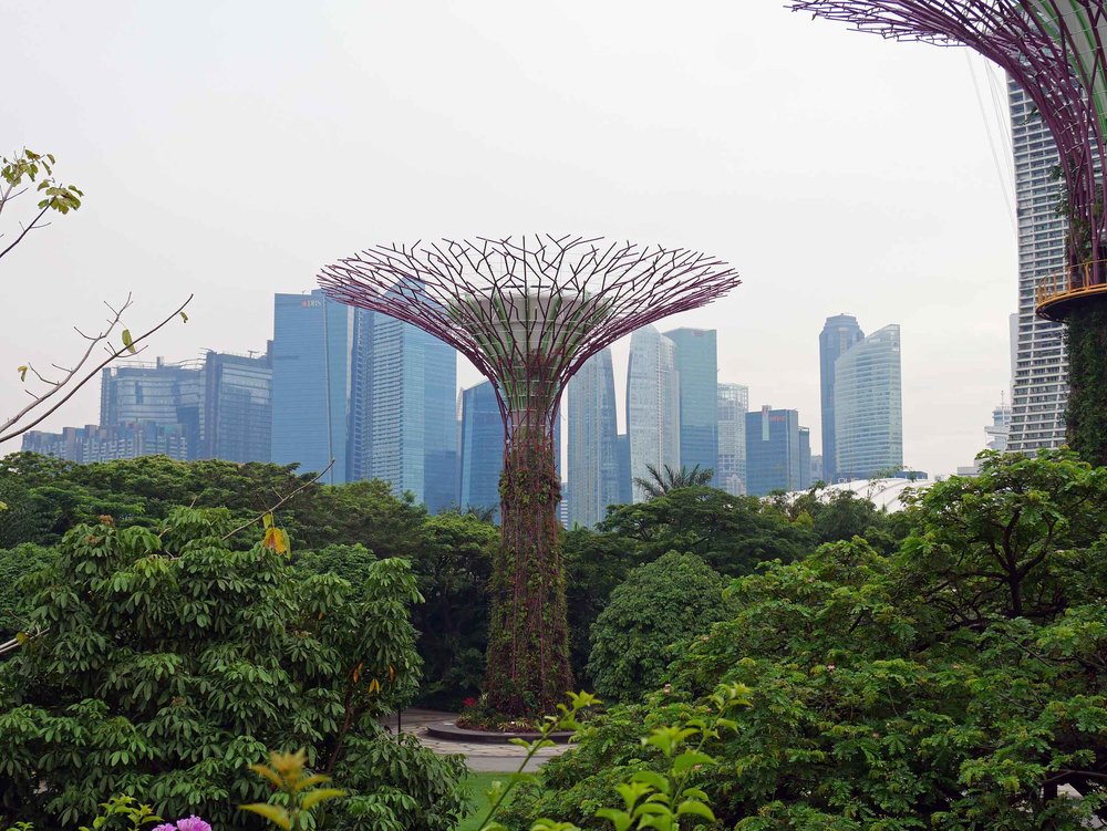  We loved the lush jungle setting with the backdrop of the city's financial district.&nbsp; 