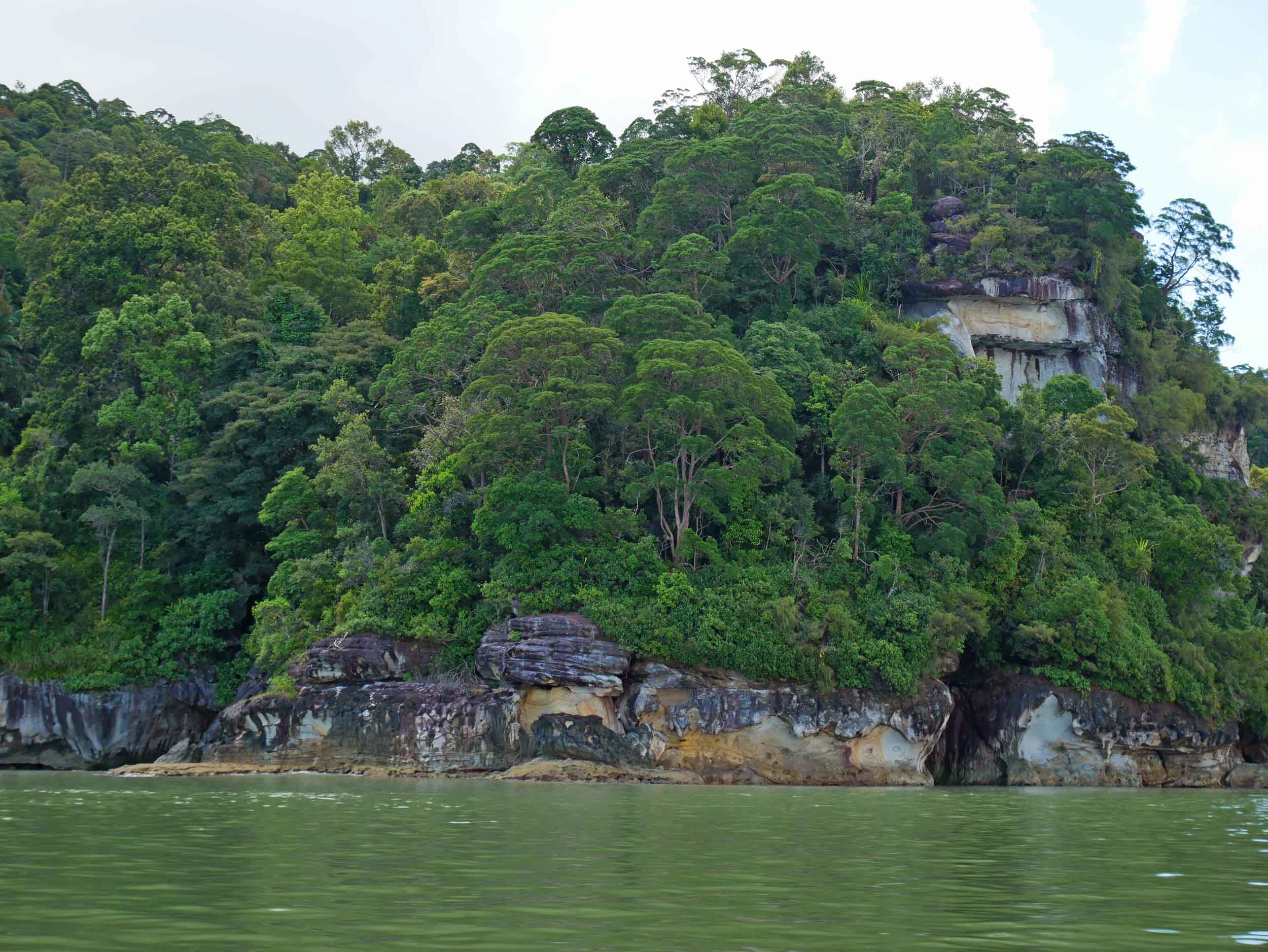  With the coastal cliffs surround Bako, its easy to see why the boat trip is warranted! 