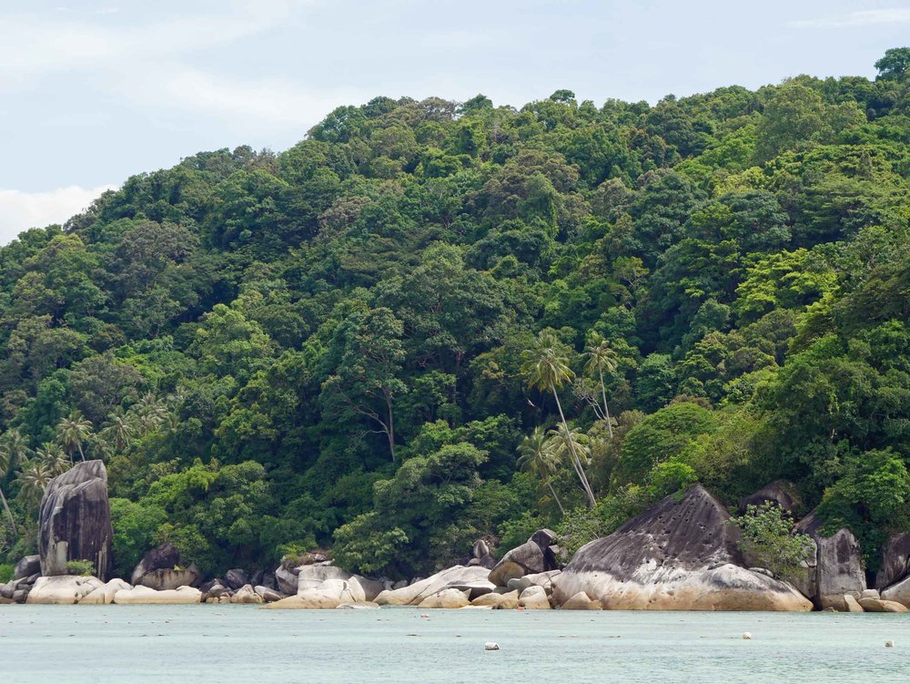  After the jungles of Borneo, we headed just off the east coast of the Malaysian Peninsular to the magical Perhentian Islands (May 7). 