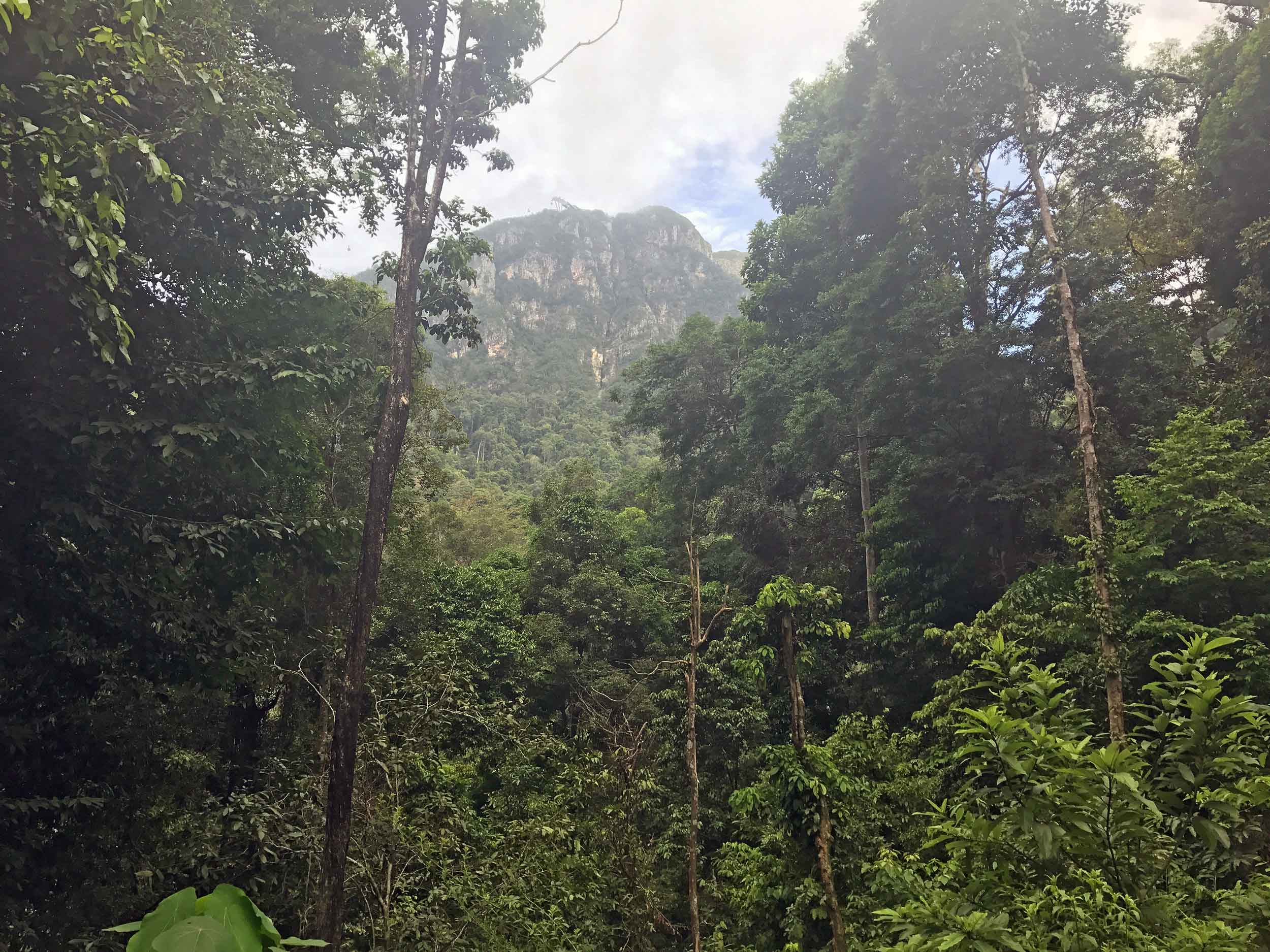 On our hike up the falls, we took in a view of Langkawi's Manchincang mountain, which has cable cars that tourists can take to the top. 