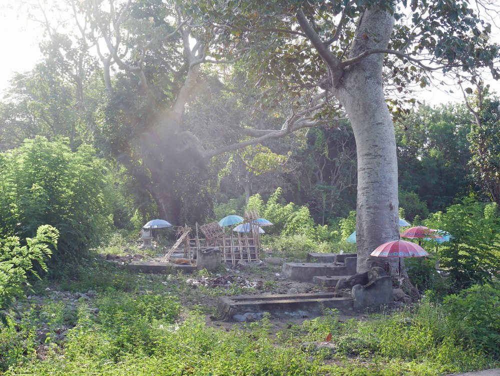  A traditional Balinese burial ground with small umbrellas providing shade for the deceased. 