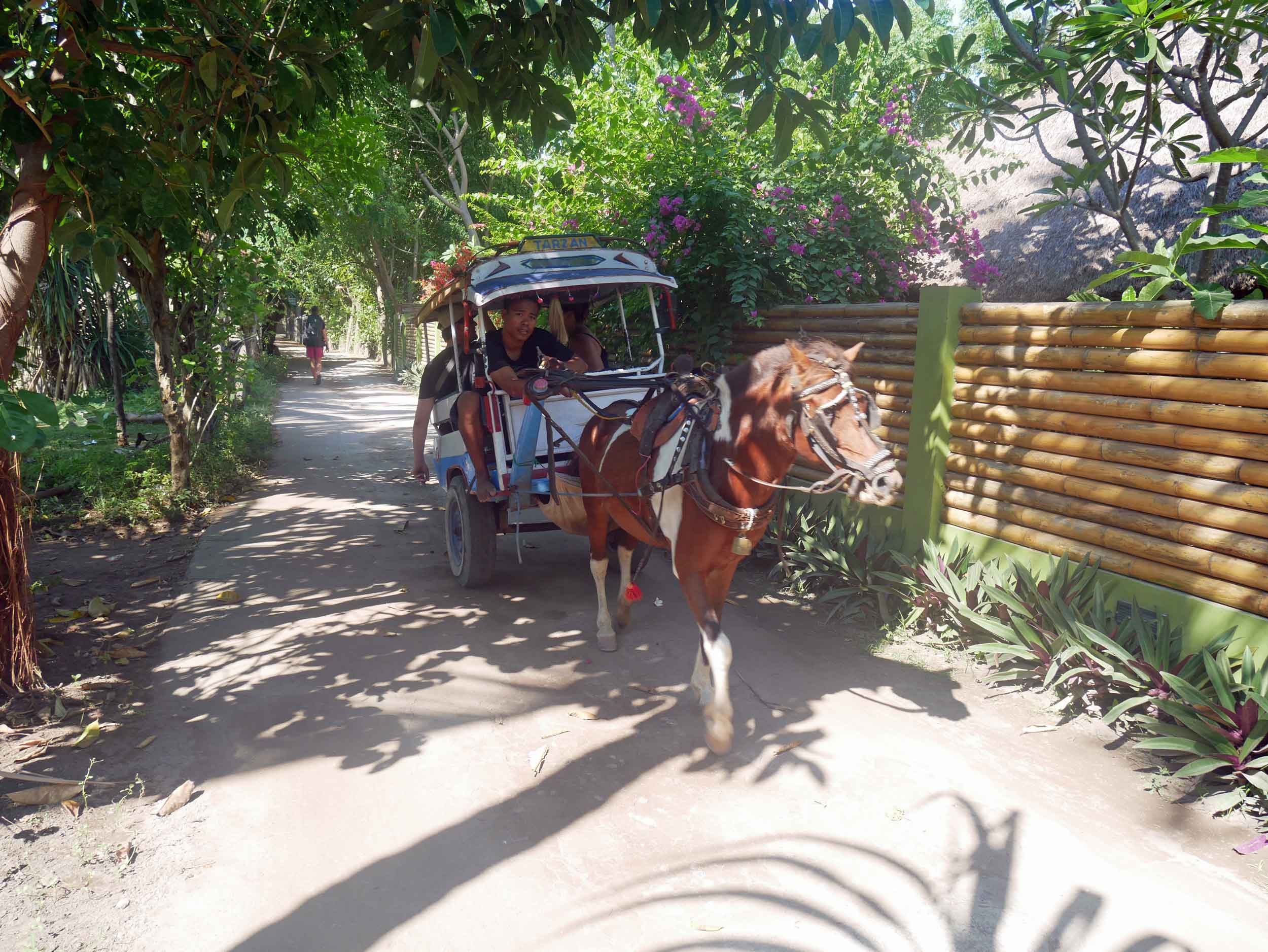  Arriving on Gili Air, where horse and buggy are the only option for those with heavy loads (May 18). 