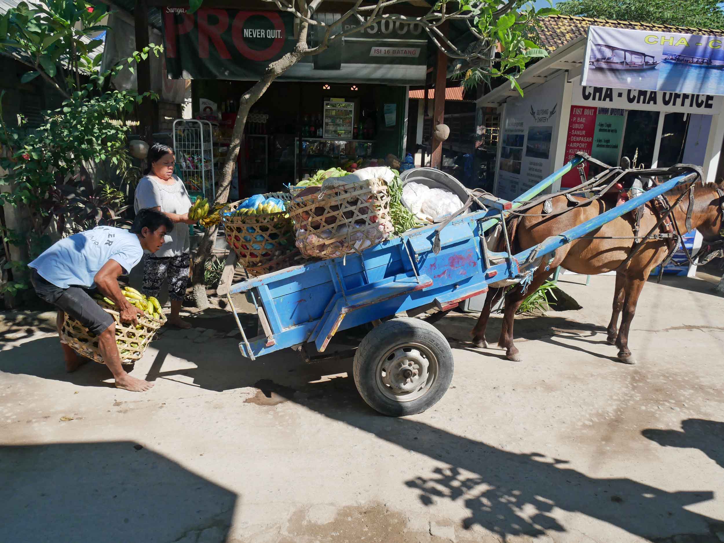  We told you the horse and buggy was the only options for big loads! 