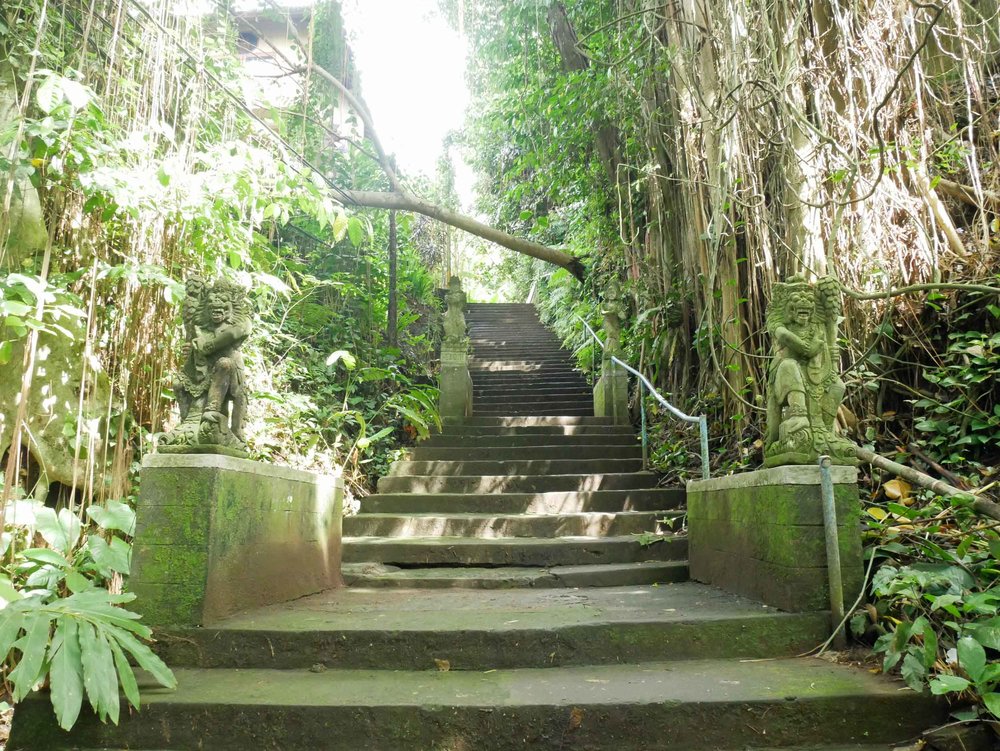  In the heart of the island, green was everywhere, even covering the stairs we took to reach morning yoga.&nbsp; 