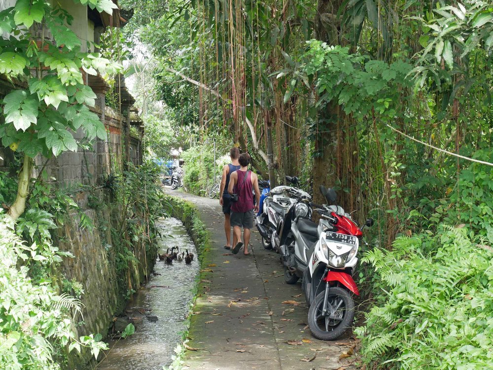  We were fortunate to be close to an excellent yoga studio and wonderful cafes, so we spent most of our time in Ubud walking the small pathways to get whereever we were going.&nbsp; 