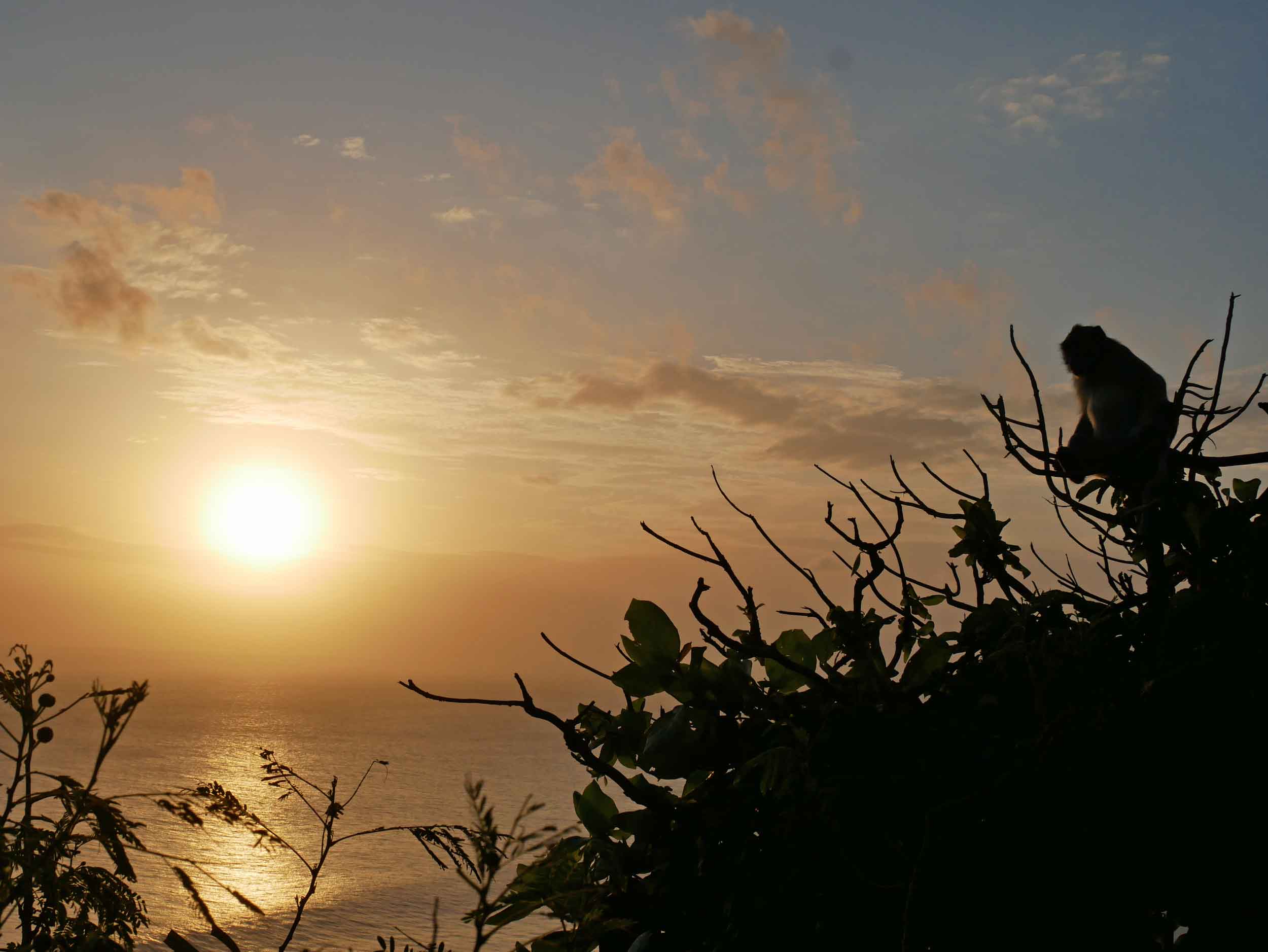  And with the setting of the sun, so too had our time on Bali come to a tranquil end.&nbsp; 