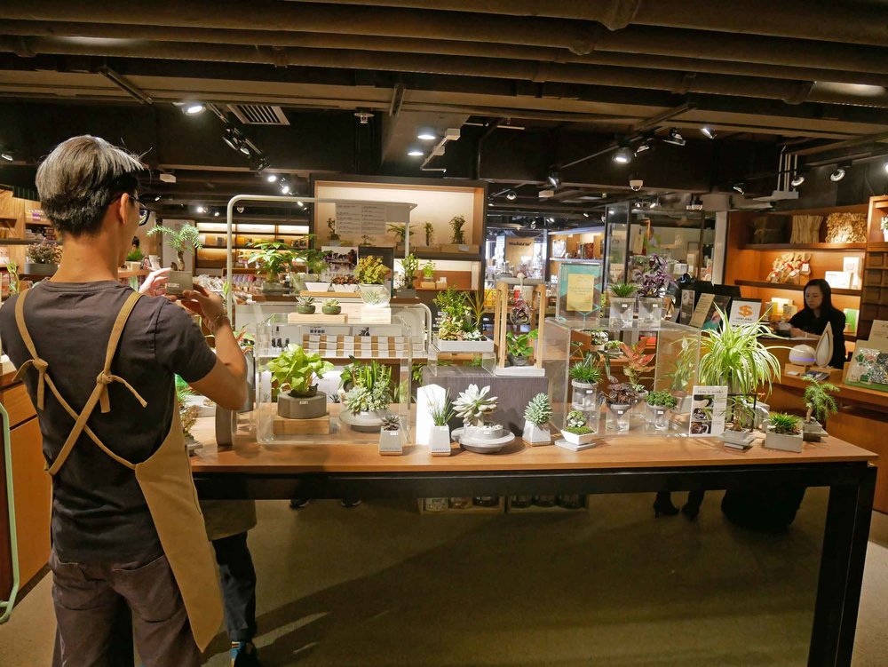  Besides books, Eslite houses a variety of in-store shops, everything from leather goods and stationary to planting supplies and bonsai. 