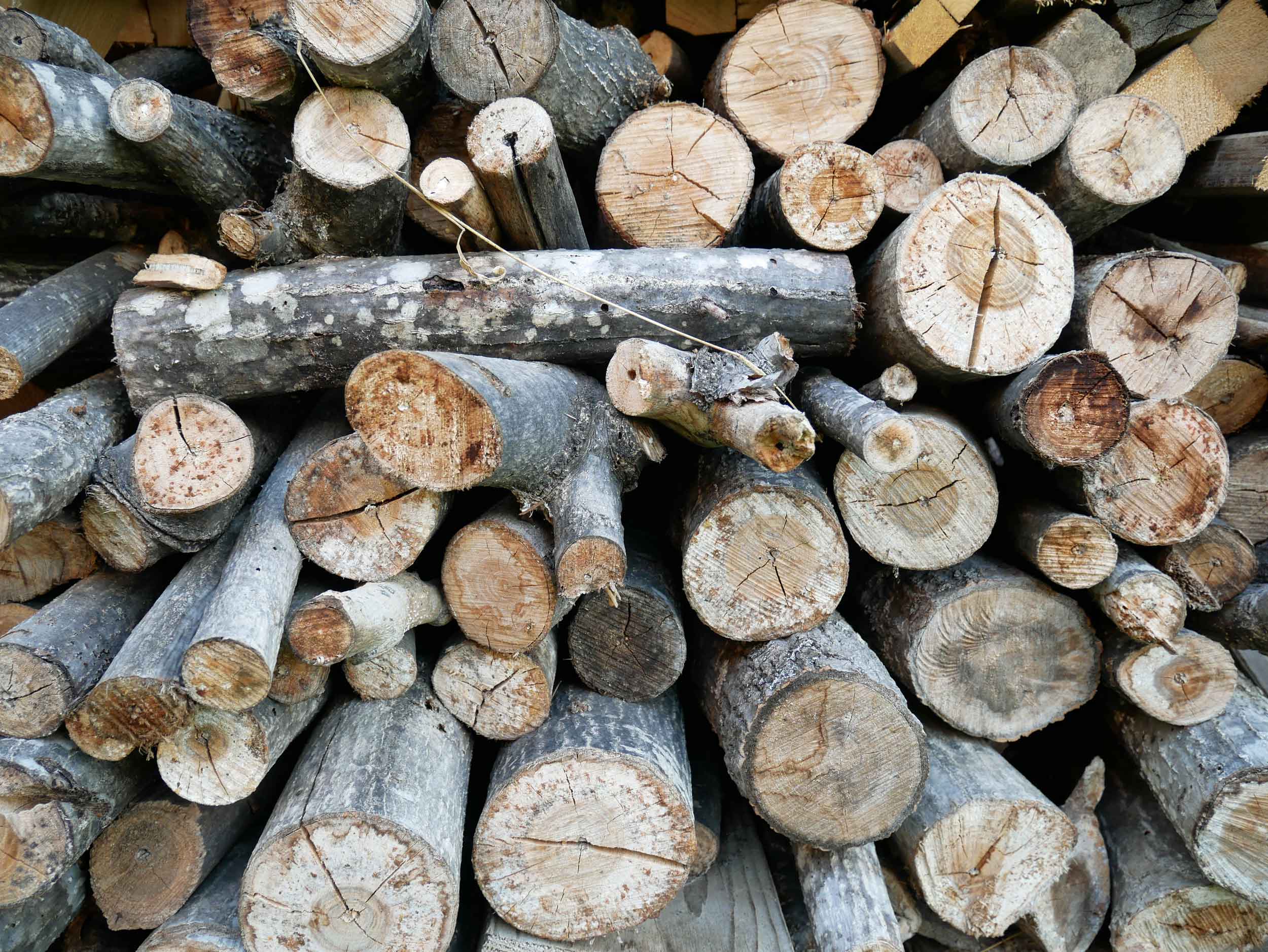  With snow still on the mountain in mid-June, you can imagine how cold winters are for the family, so we spent a lot of time cutting wood in preparation. 