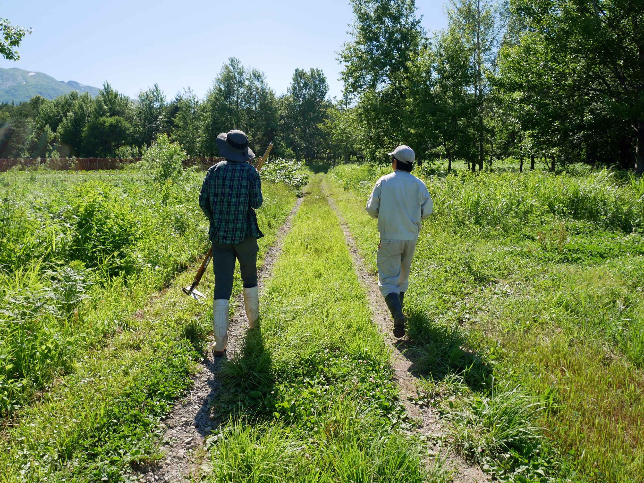  Trey and his new friend Toshi head to the fields for another day of weeding.&nbsp; 