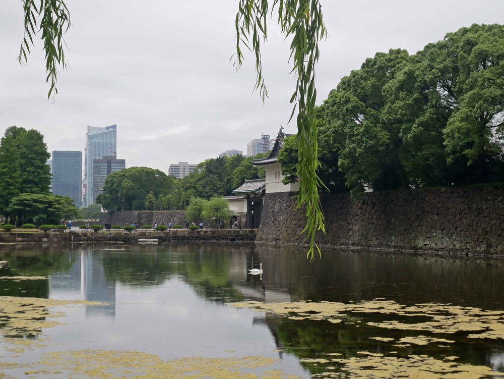  Tokyo's Imperial Palace Gardens is a respite within the chaos of the city (June 14).&nbsp; 