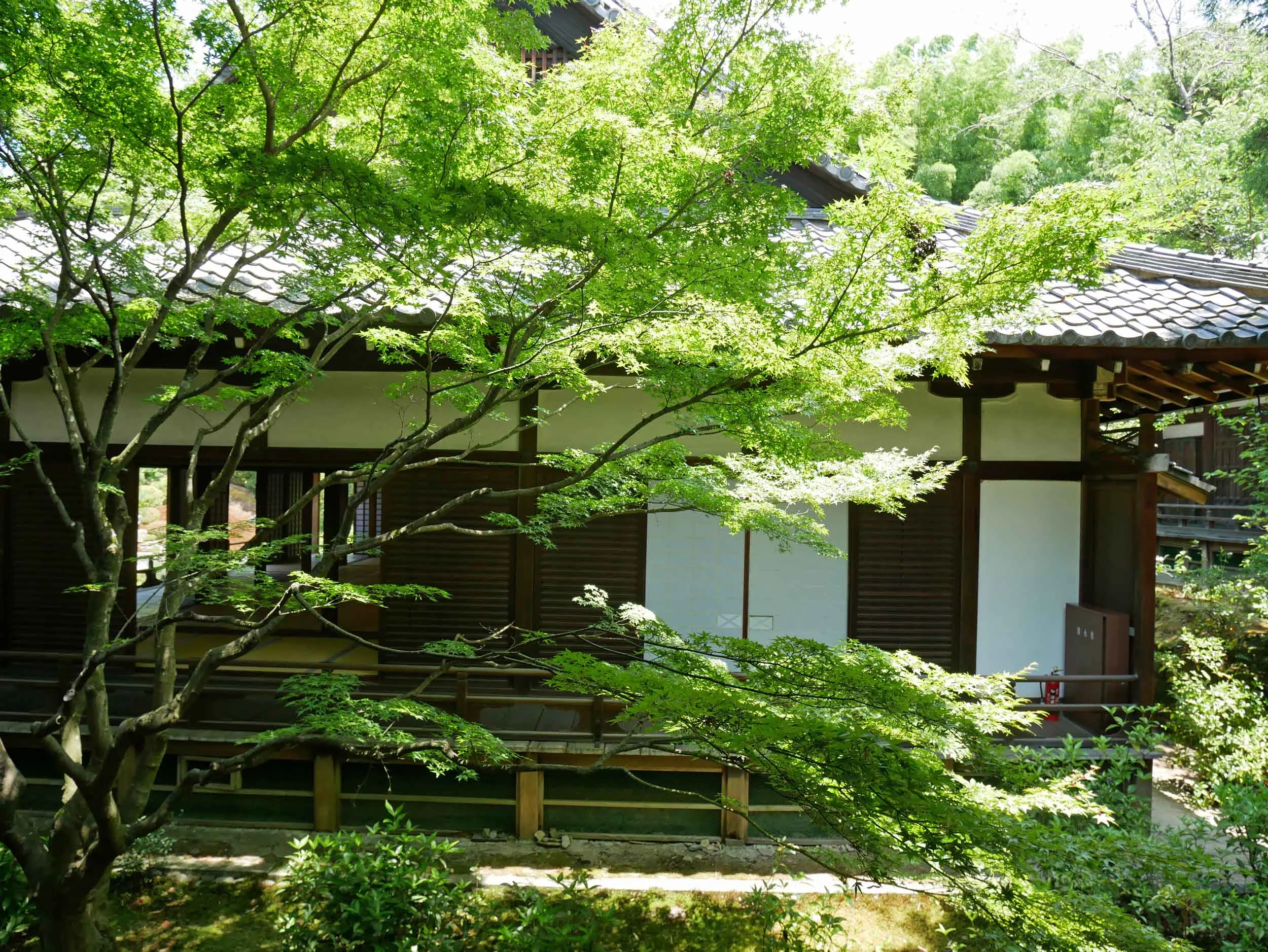  We spent midmorning at lovely Shoren-in Monzeki temple, built in the 13th century.&nbsp; 