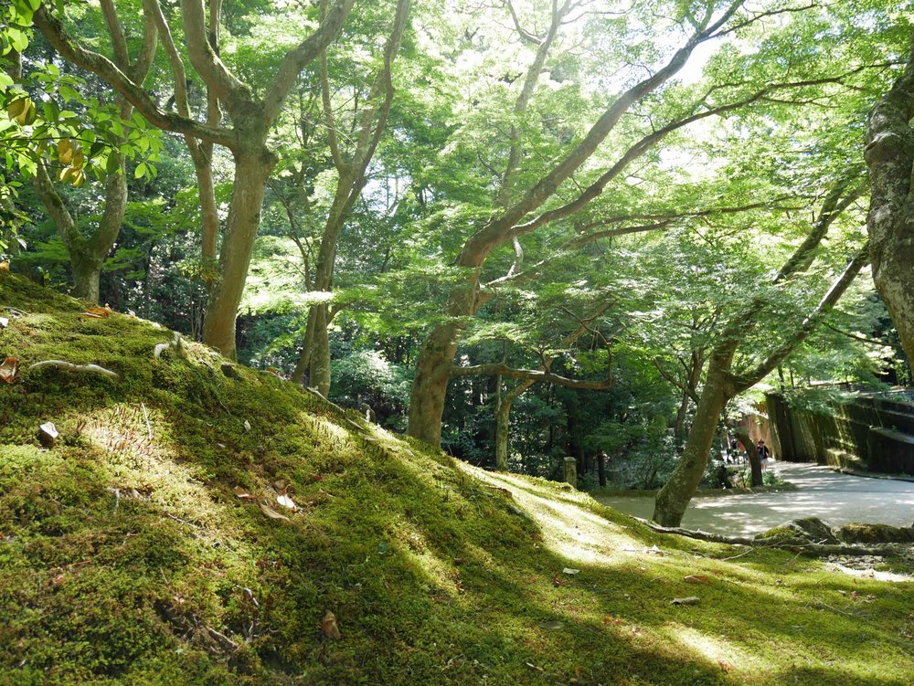  The sumptuous, mossy grounds of Nanzen-ji 