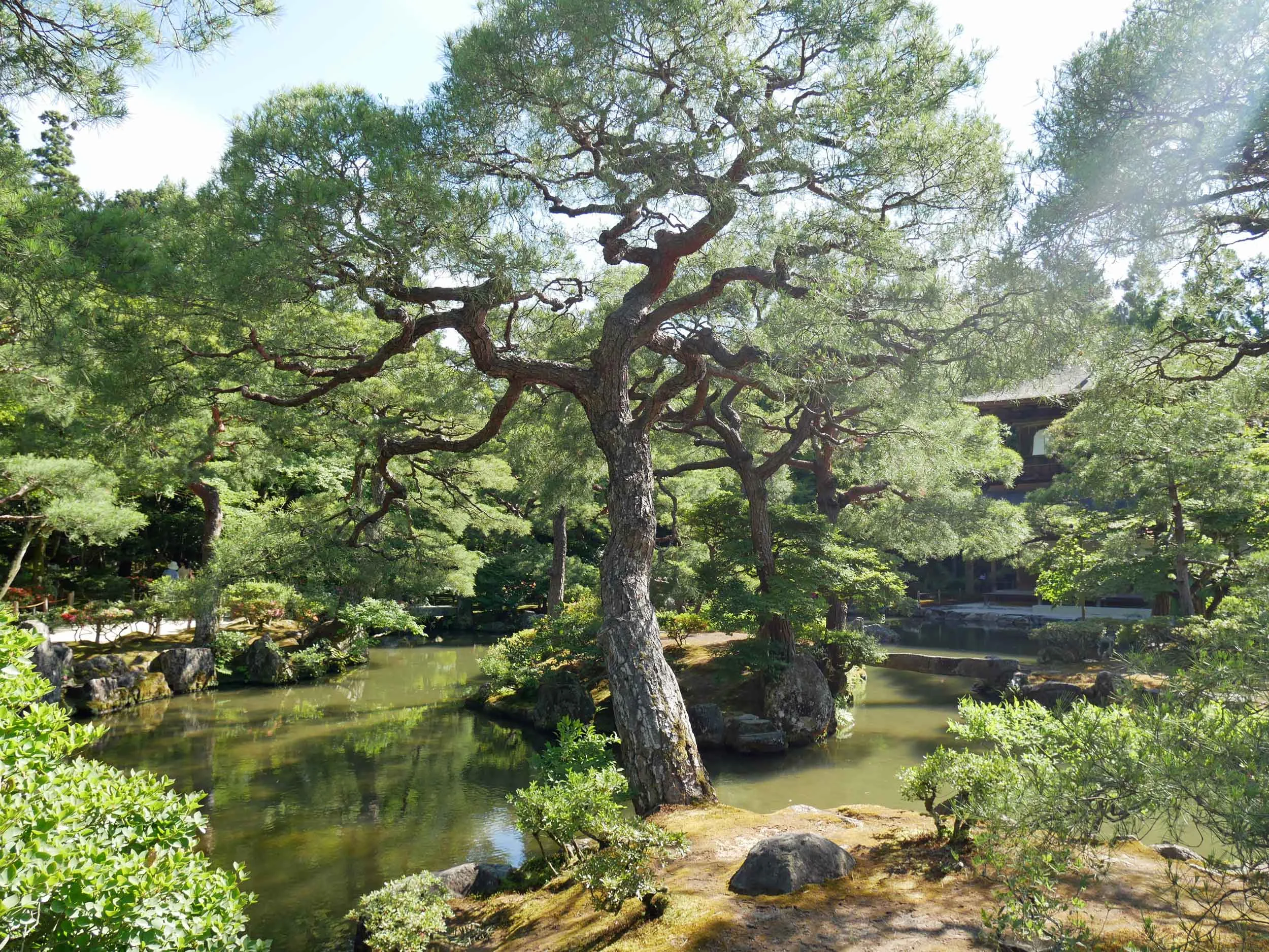  The meticulously manicured gardens Ginkaku-ju. 