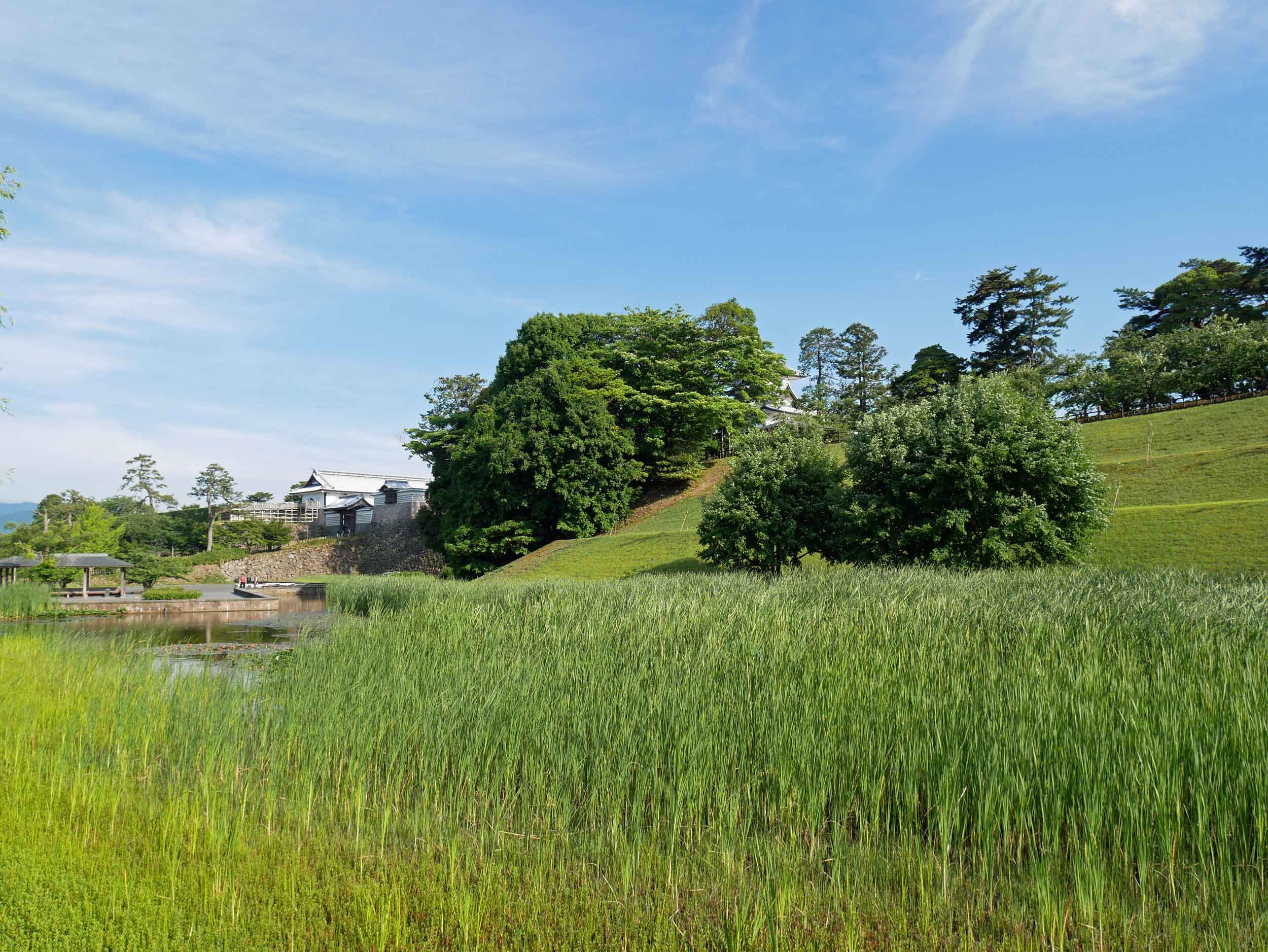  Kanazawa Castle Gardens' verdant fields. 