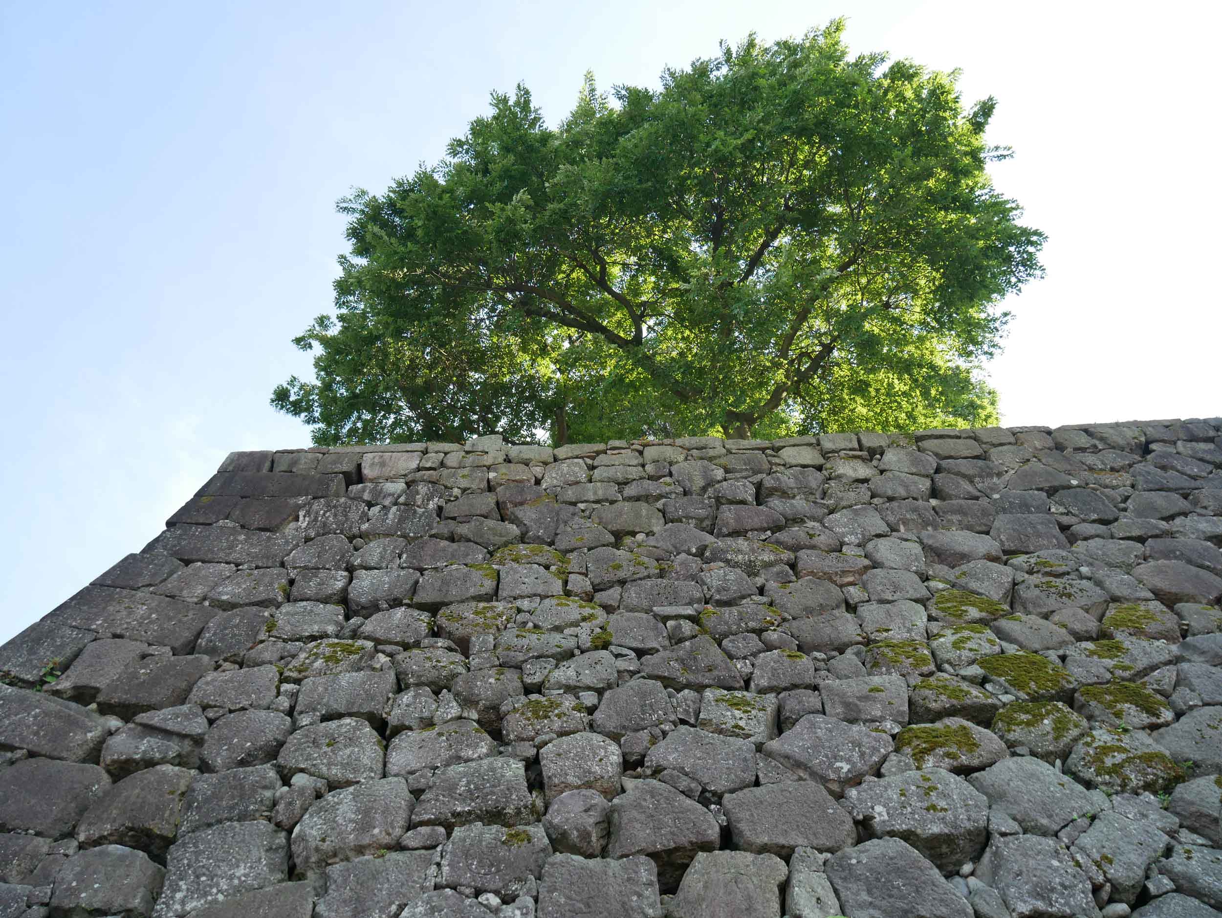  Impressive periphery wall of the Kanazawa Castle. 