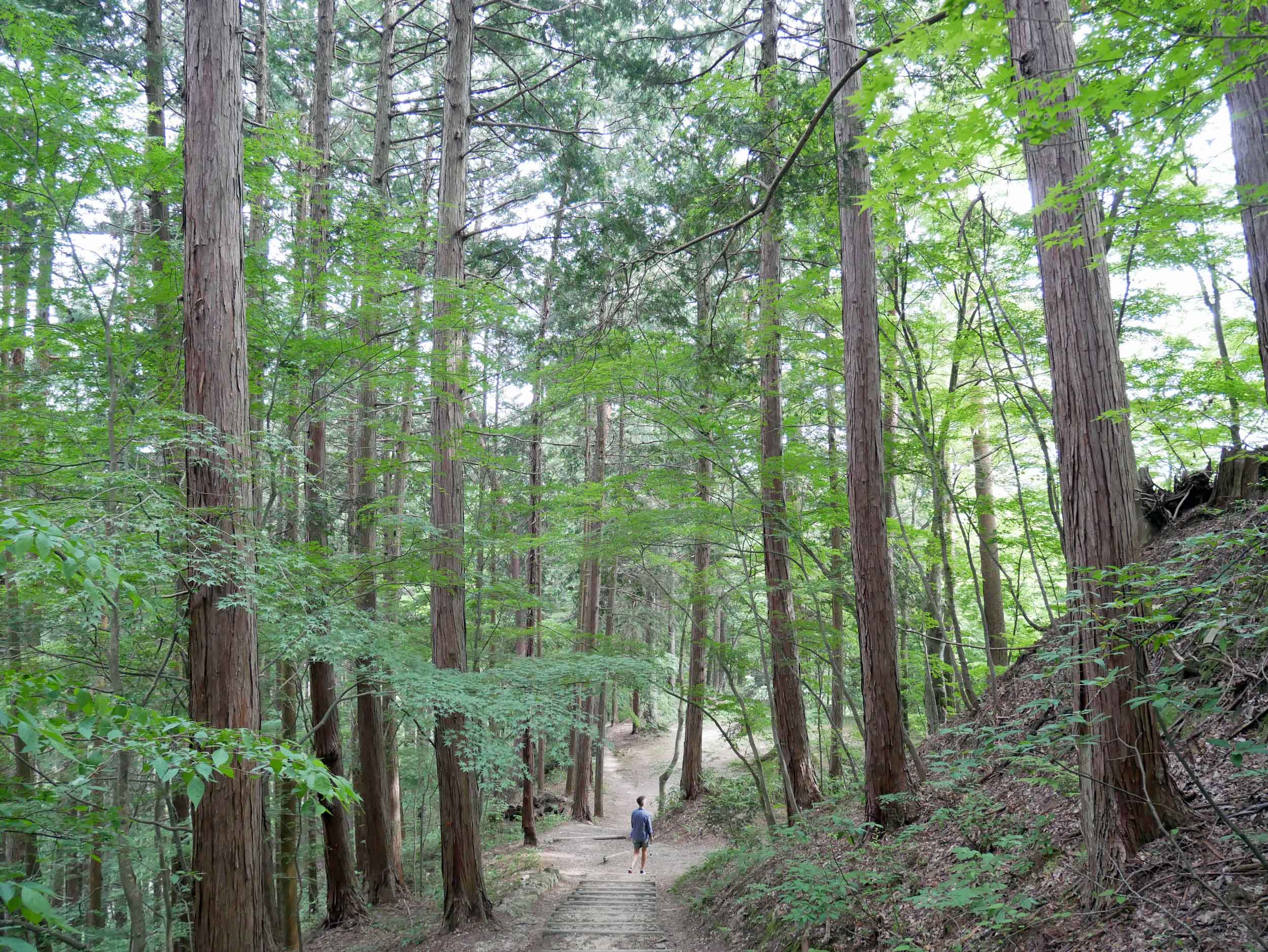  We ended our day with a hike in Shiroyama park, which boasted panoramic views of the city.&nbsp; 