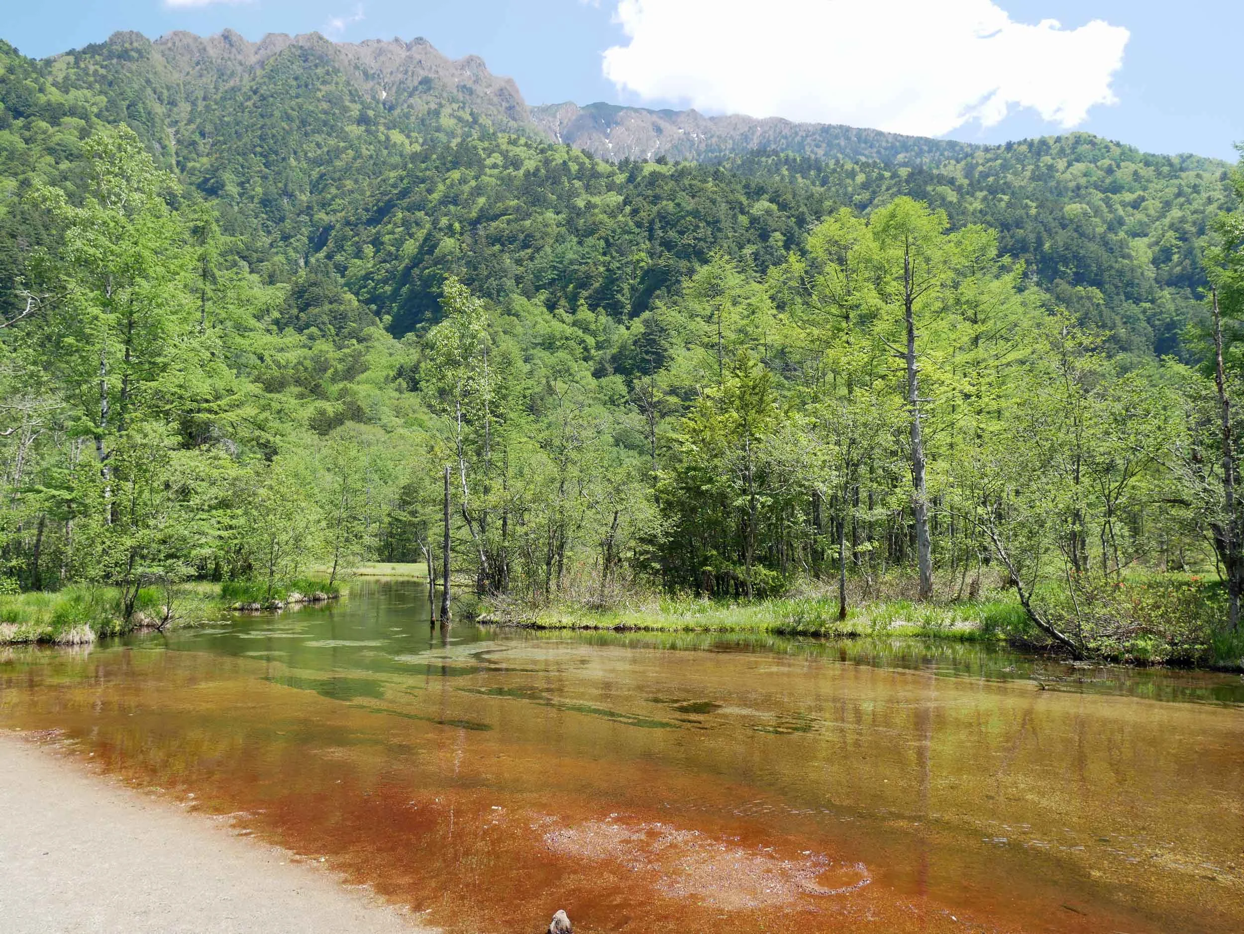  Mineral infused marshlands within the park. 